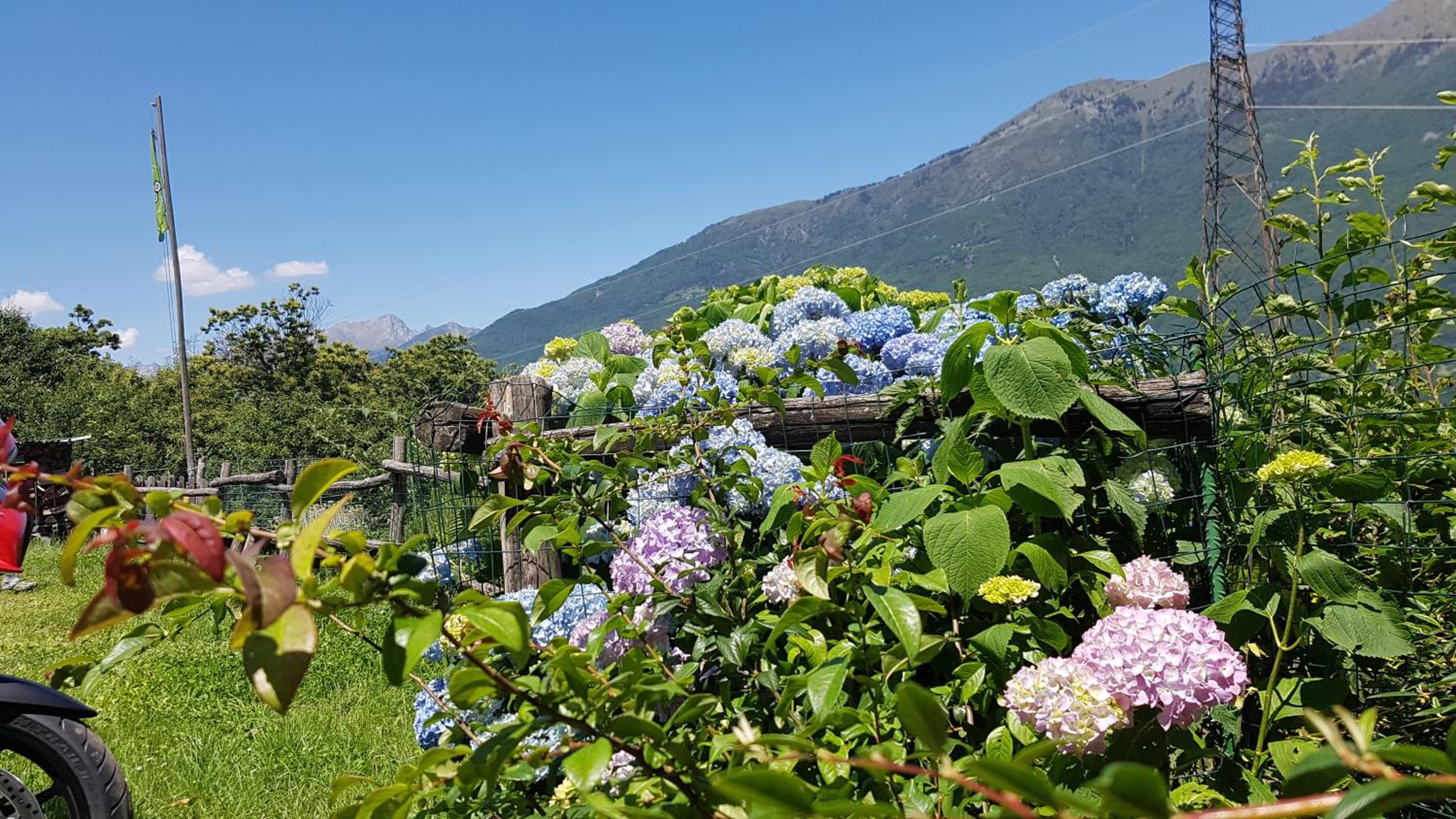 Agriturismo Volpe Golosa view 2
