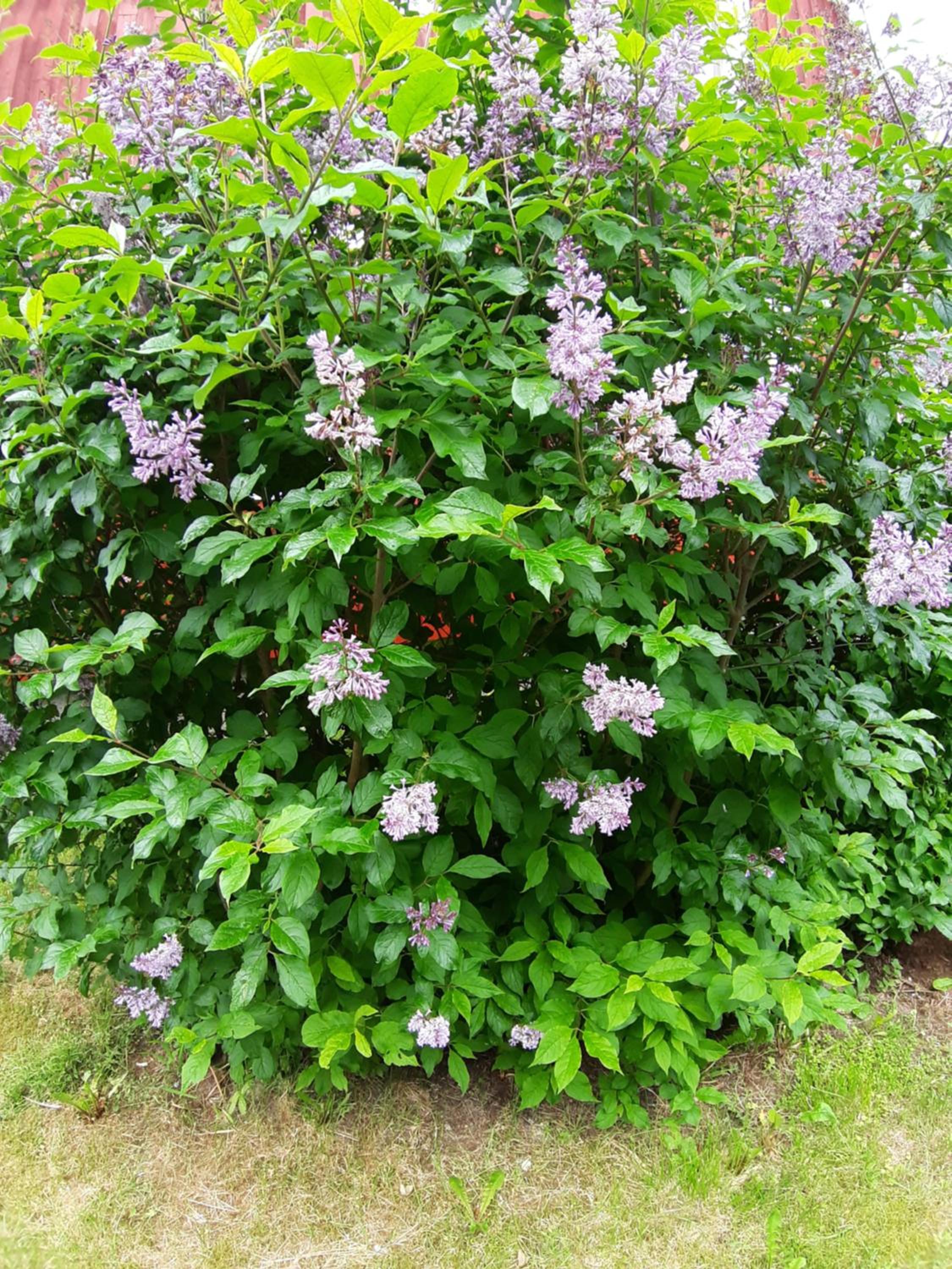 Photo 32
