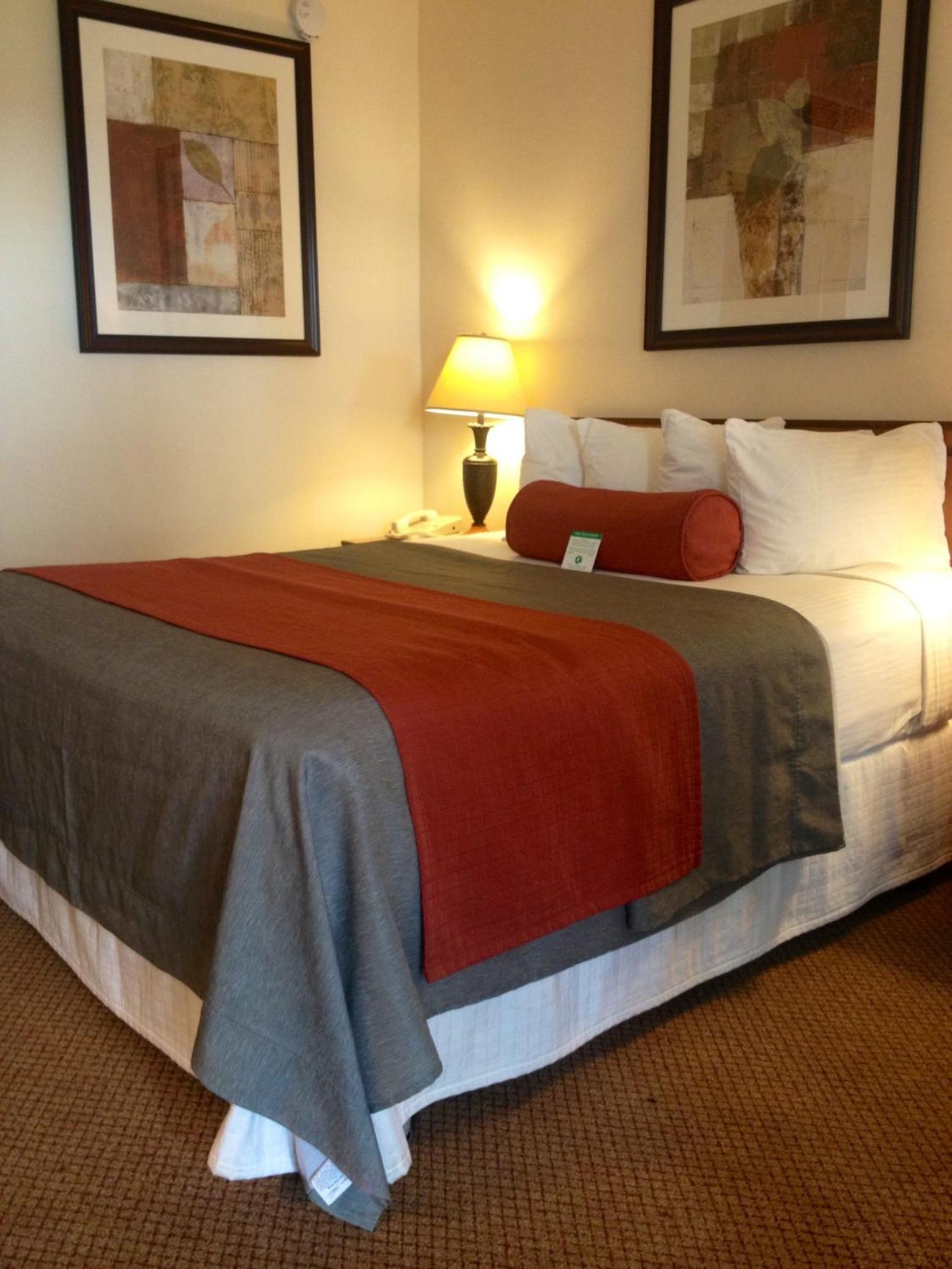North Hollywood Vacations - Mikado Hotel - Property Image 22