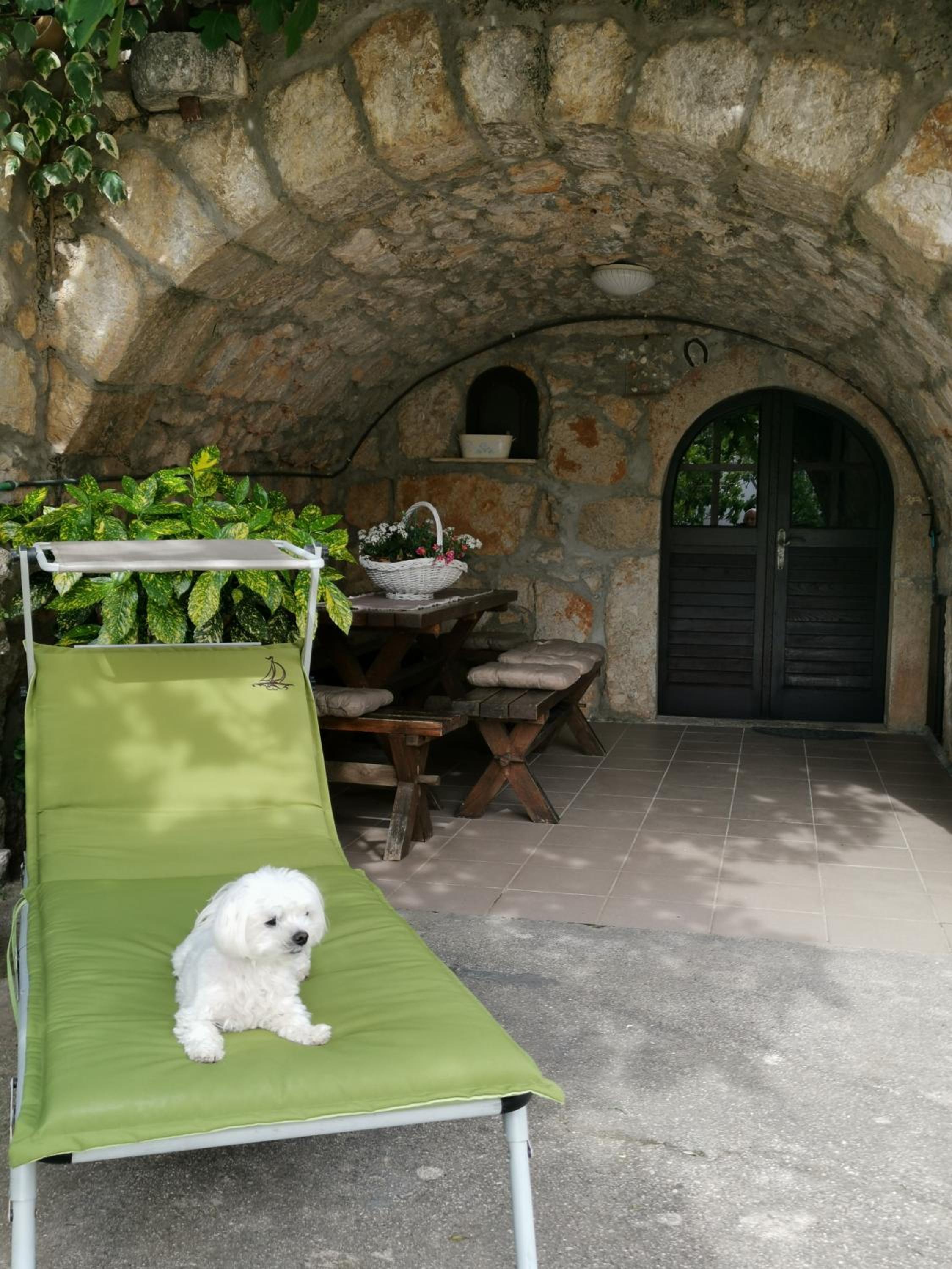 Guest house Otto view 2