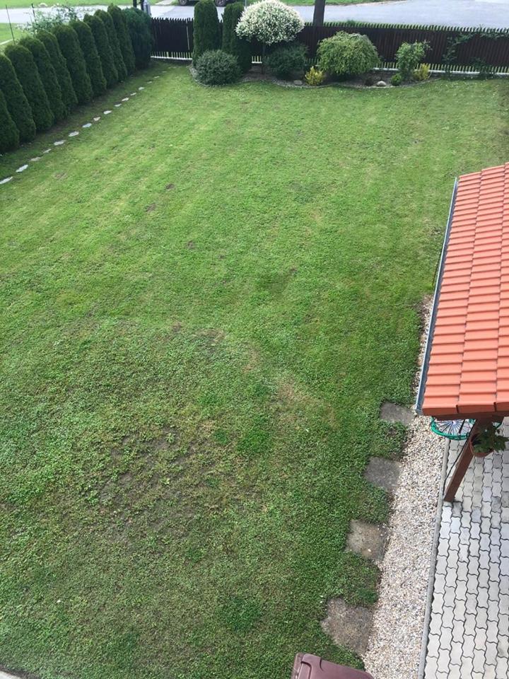 Photo 32