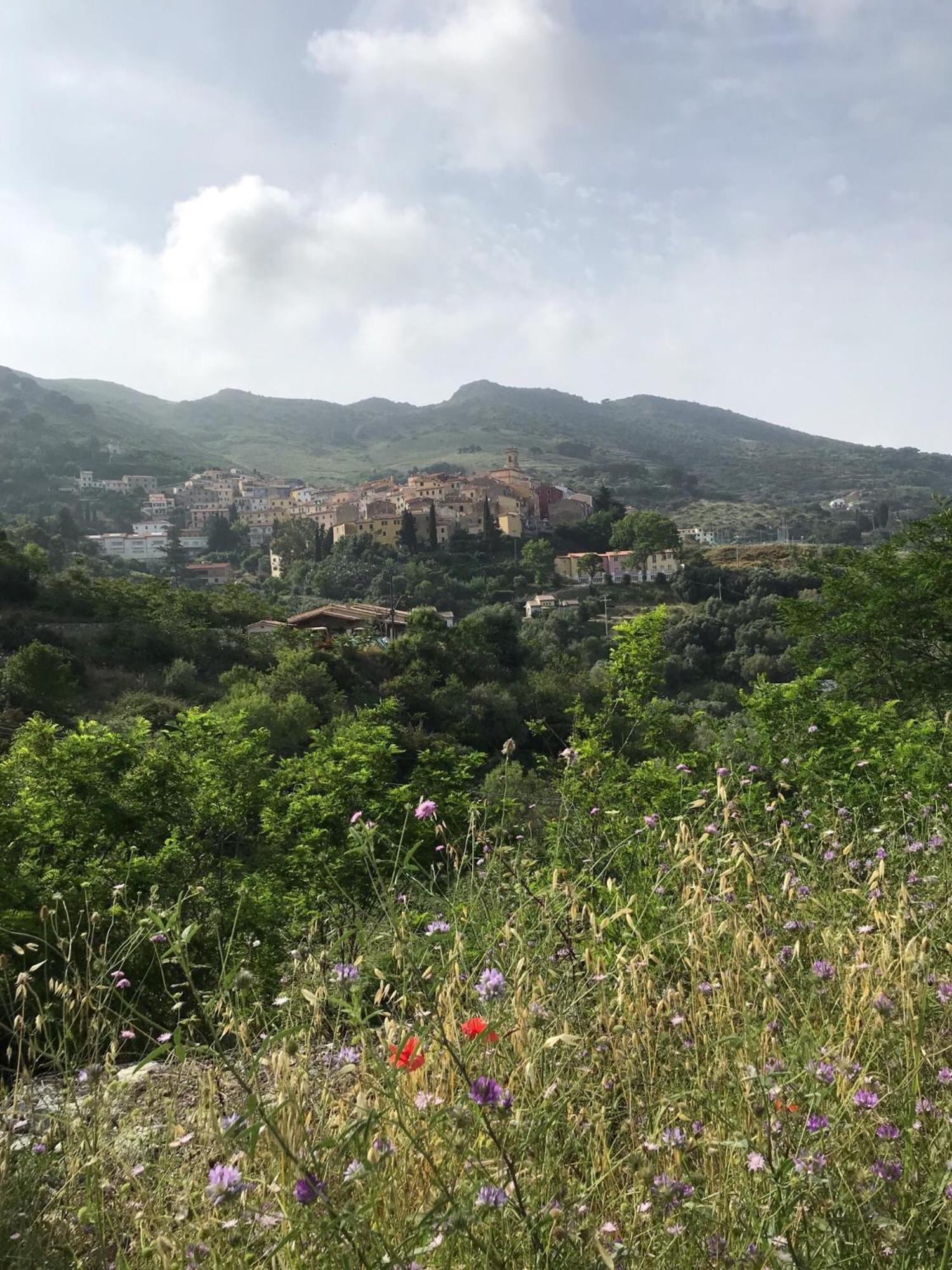 CASA BICE view 4