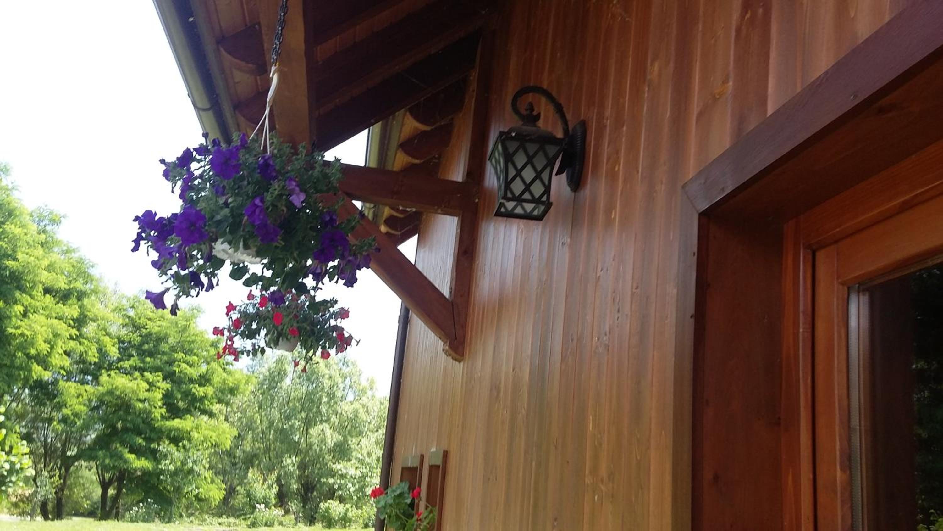 Photo 47