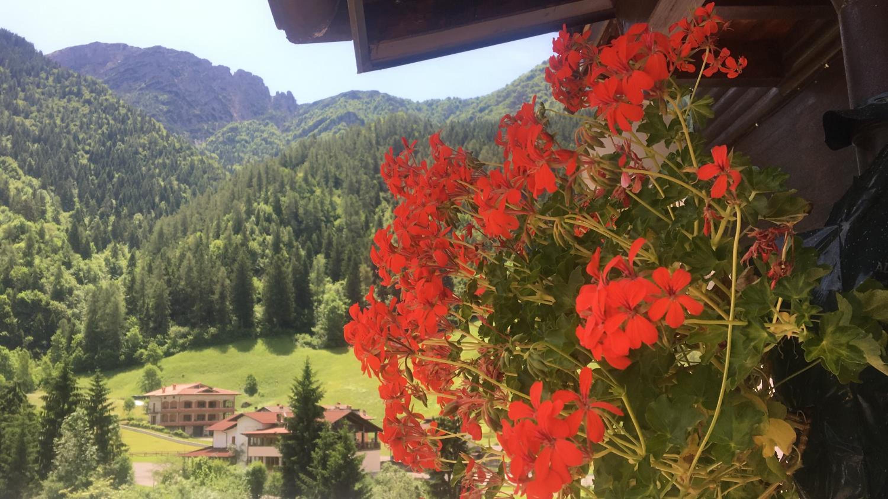 Acero Rosso view 2