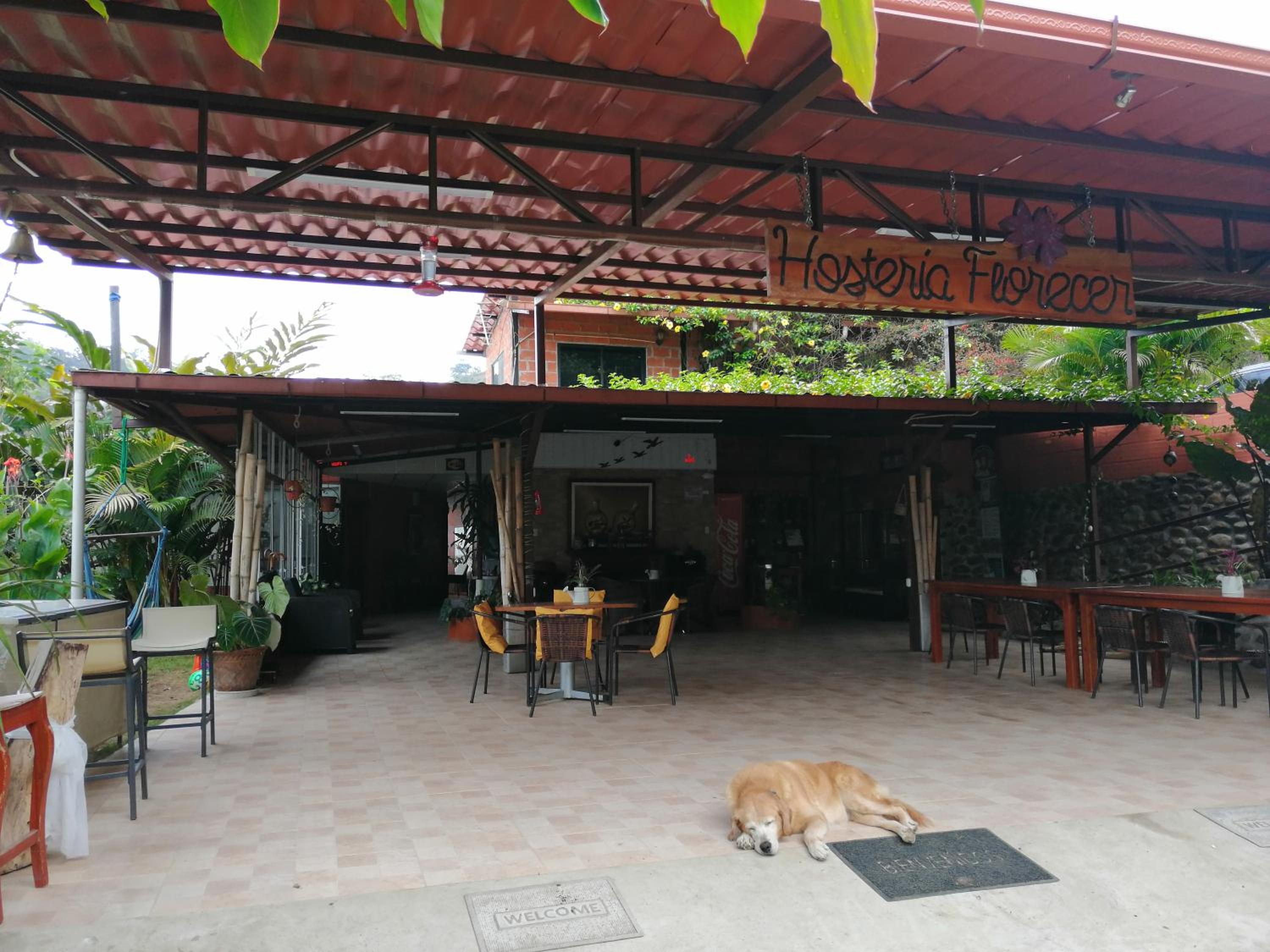 Hosteria Florecer, photo 103