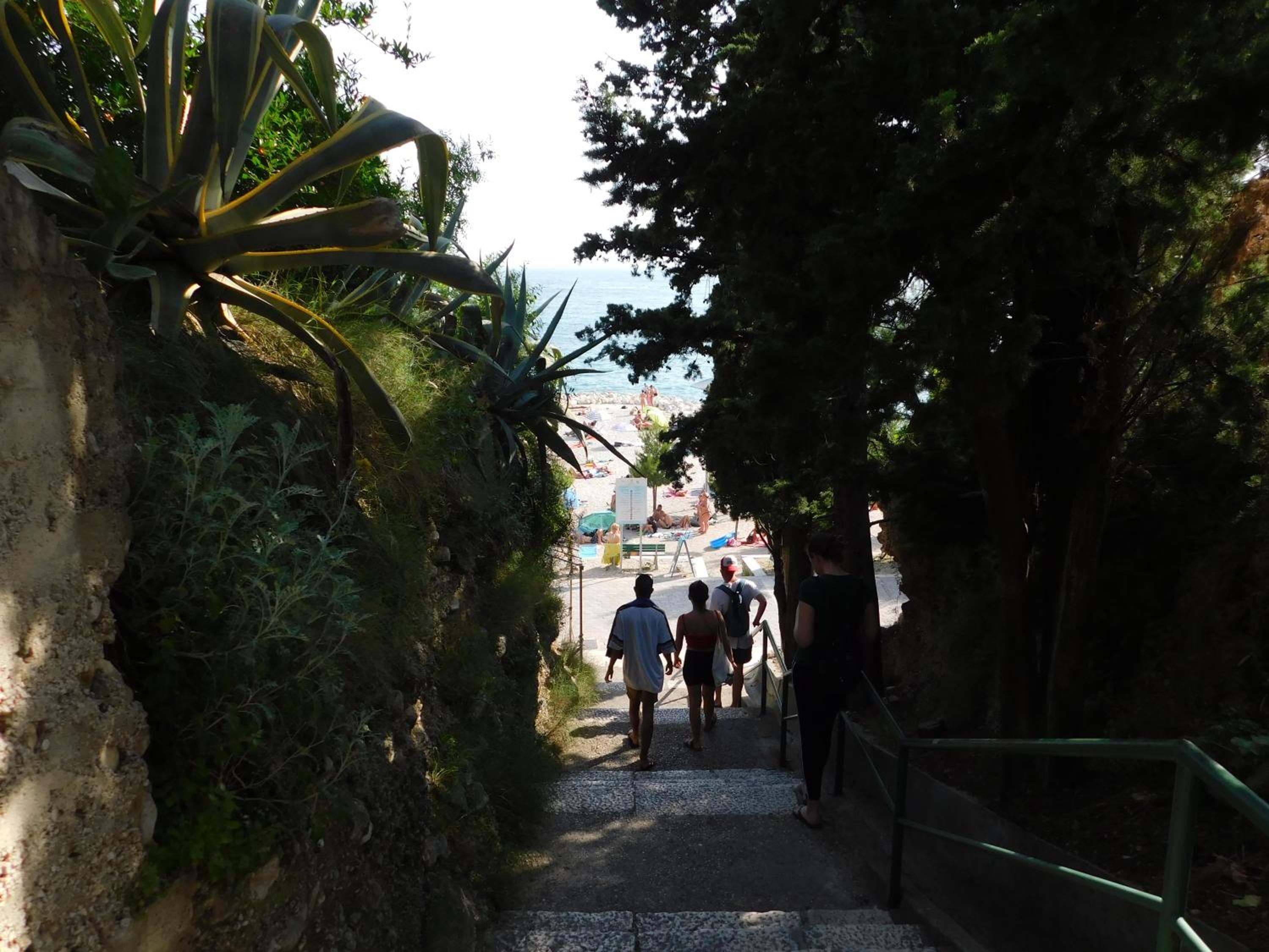 Photo 41
