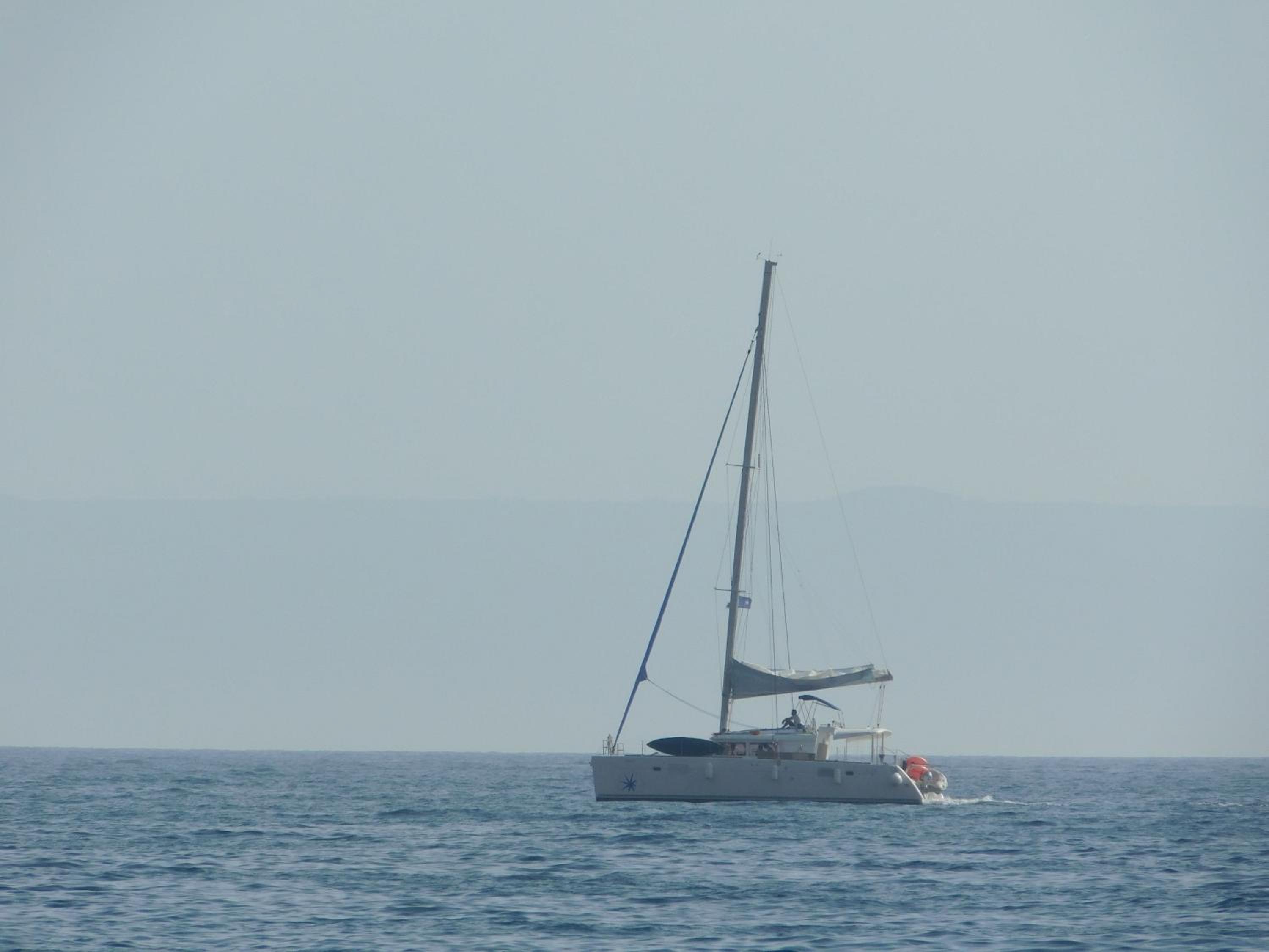 Photo 45