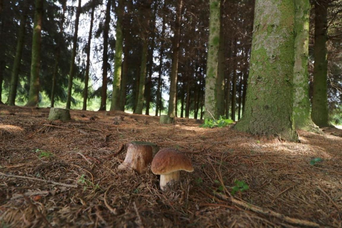 Photo 23