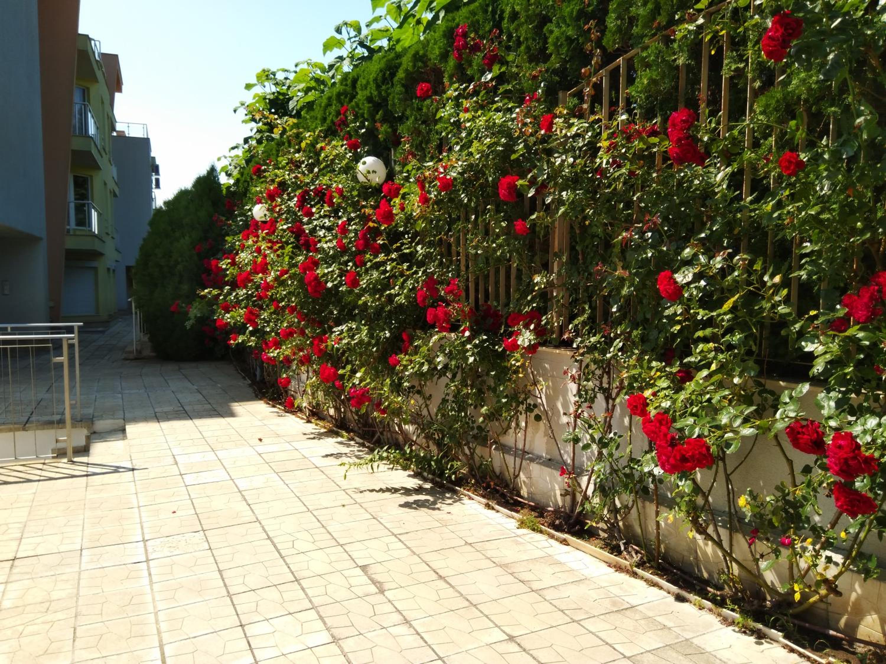 Alex Beach Apartment