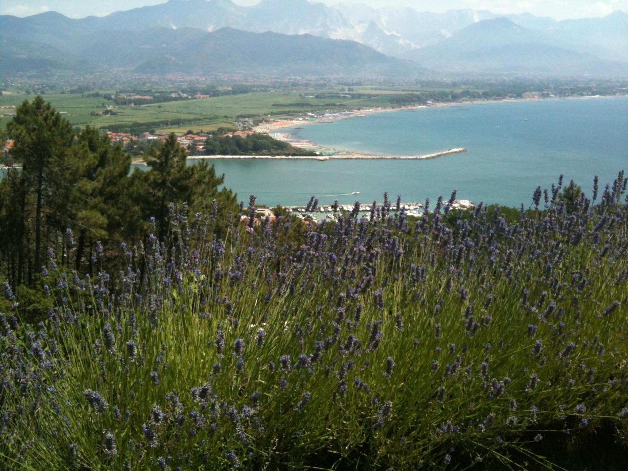 Villa I Poggioli