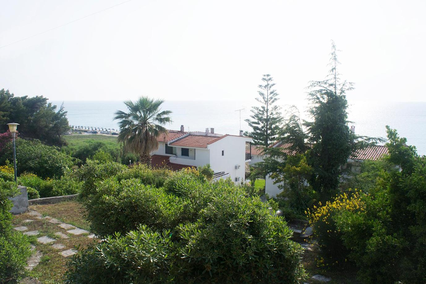 Photo 40