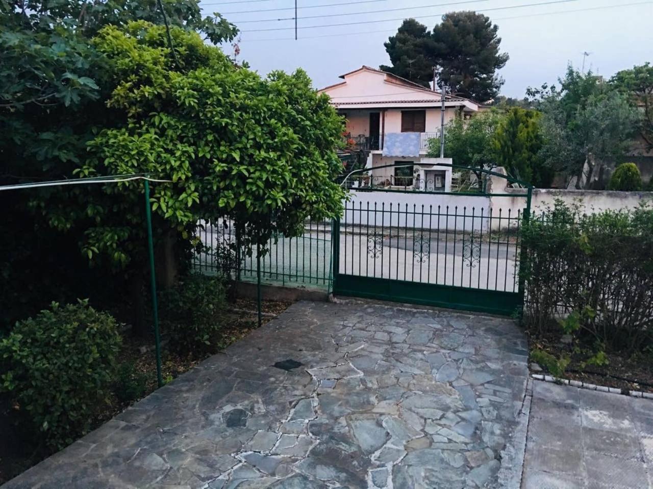 Photo 25