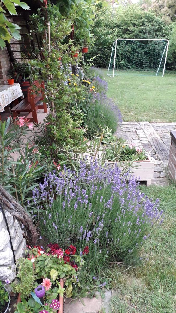 Photo 19