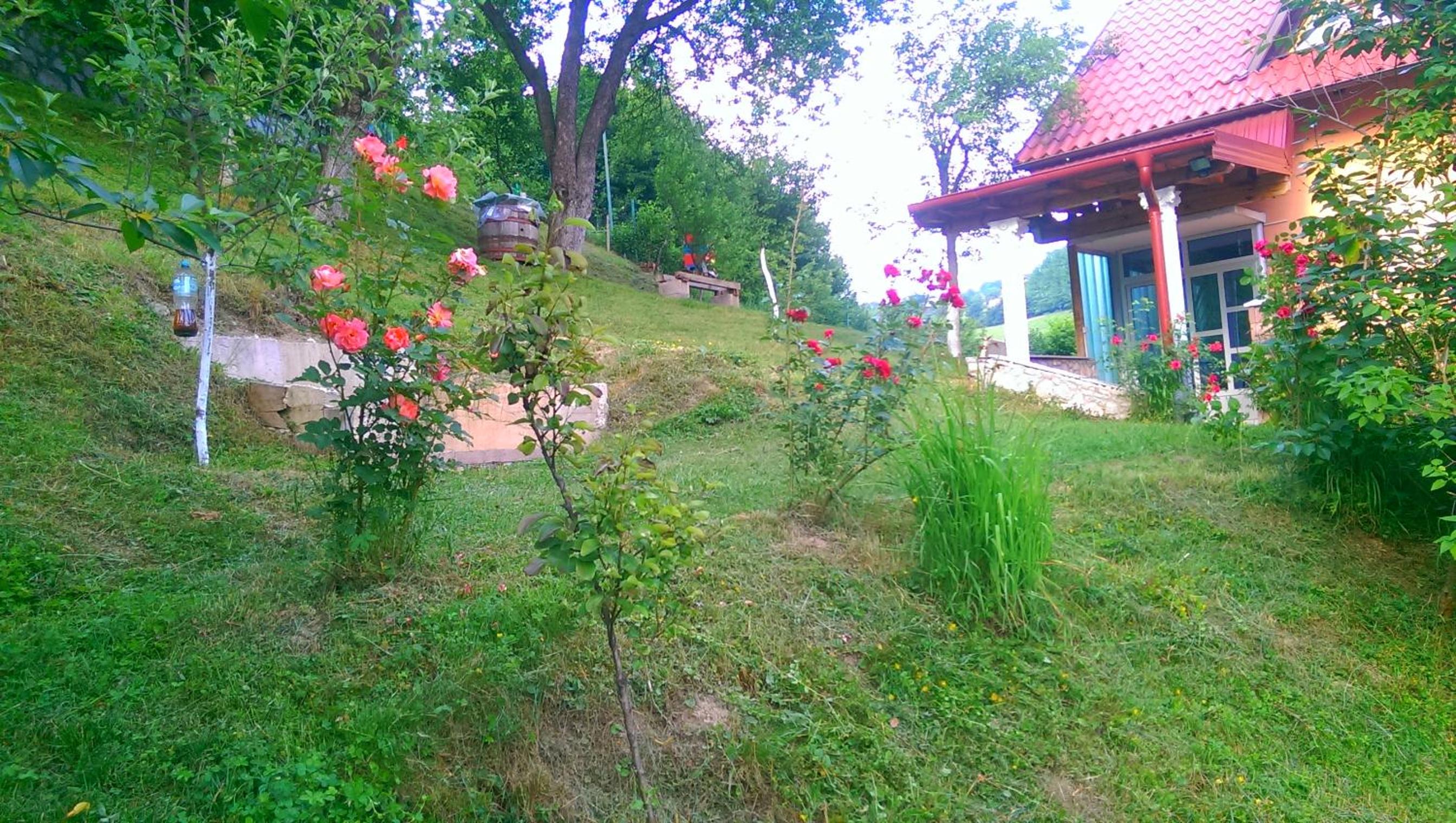 Holiday House Afan