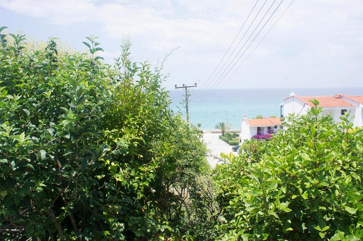Possidi Aigaiopelagitika ground floor beachside studio view 3