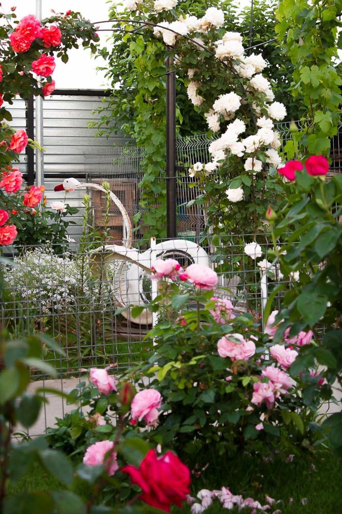 Casa La Flori