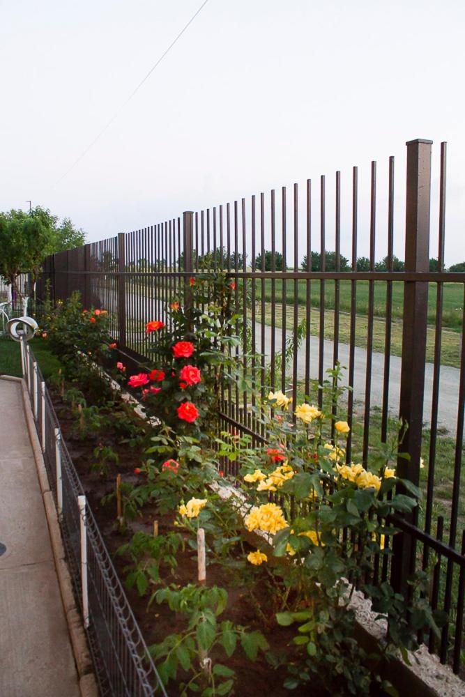 Casa La Flori