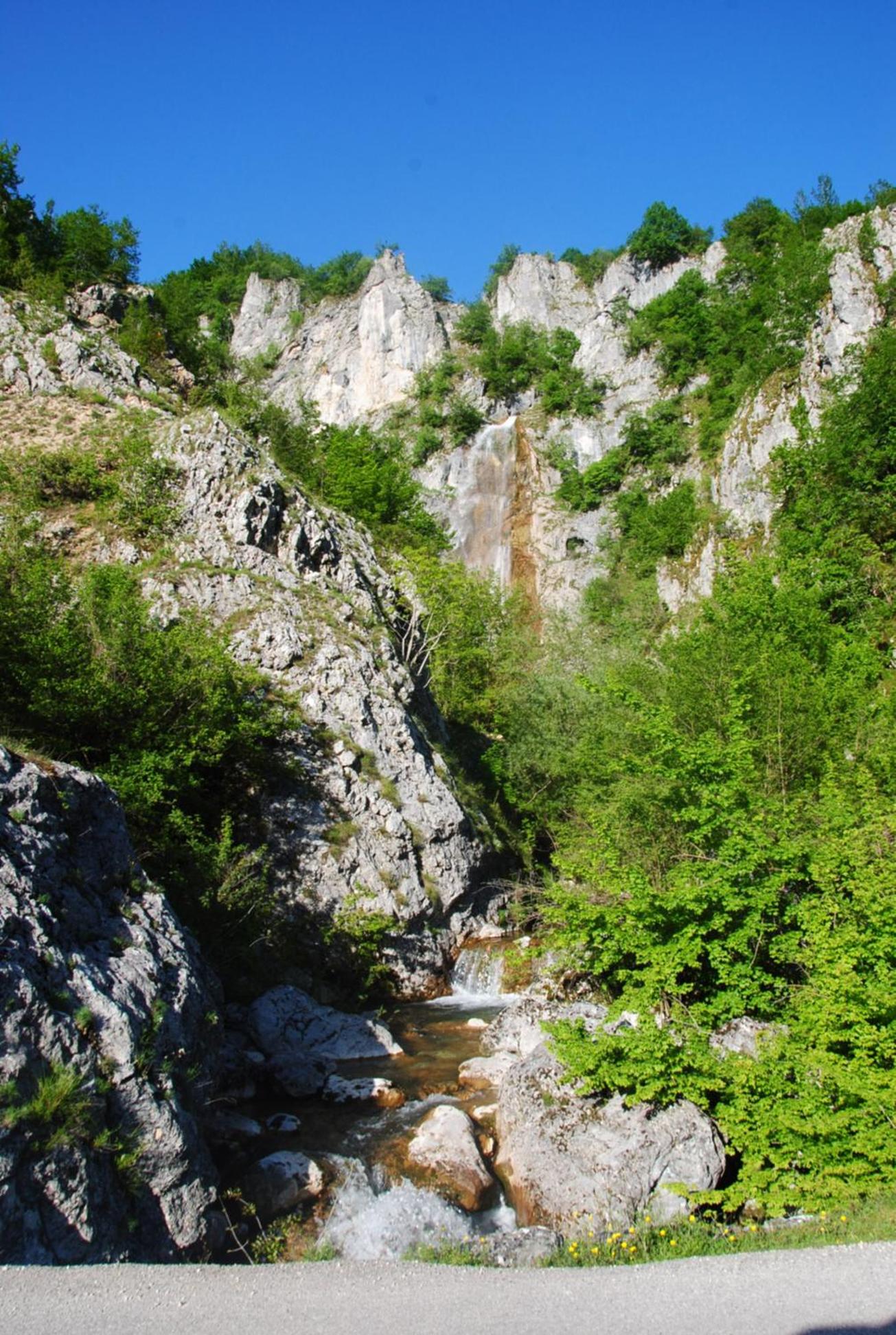 Photo 24