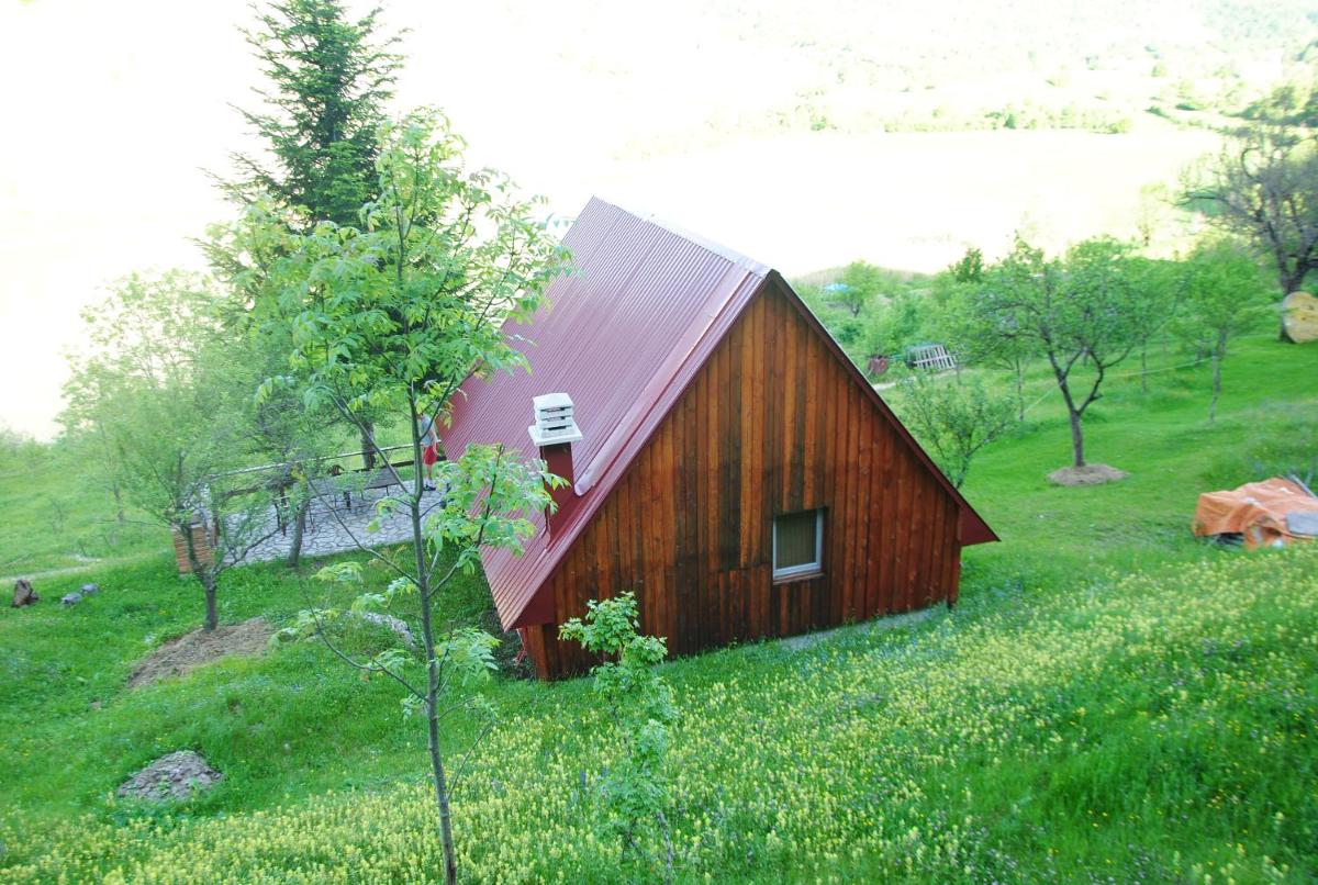 Photo 11