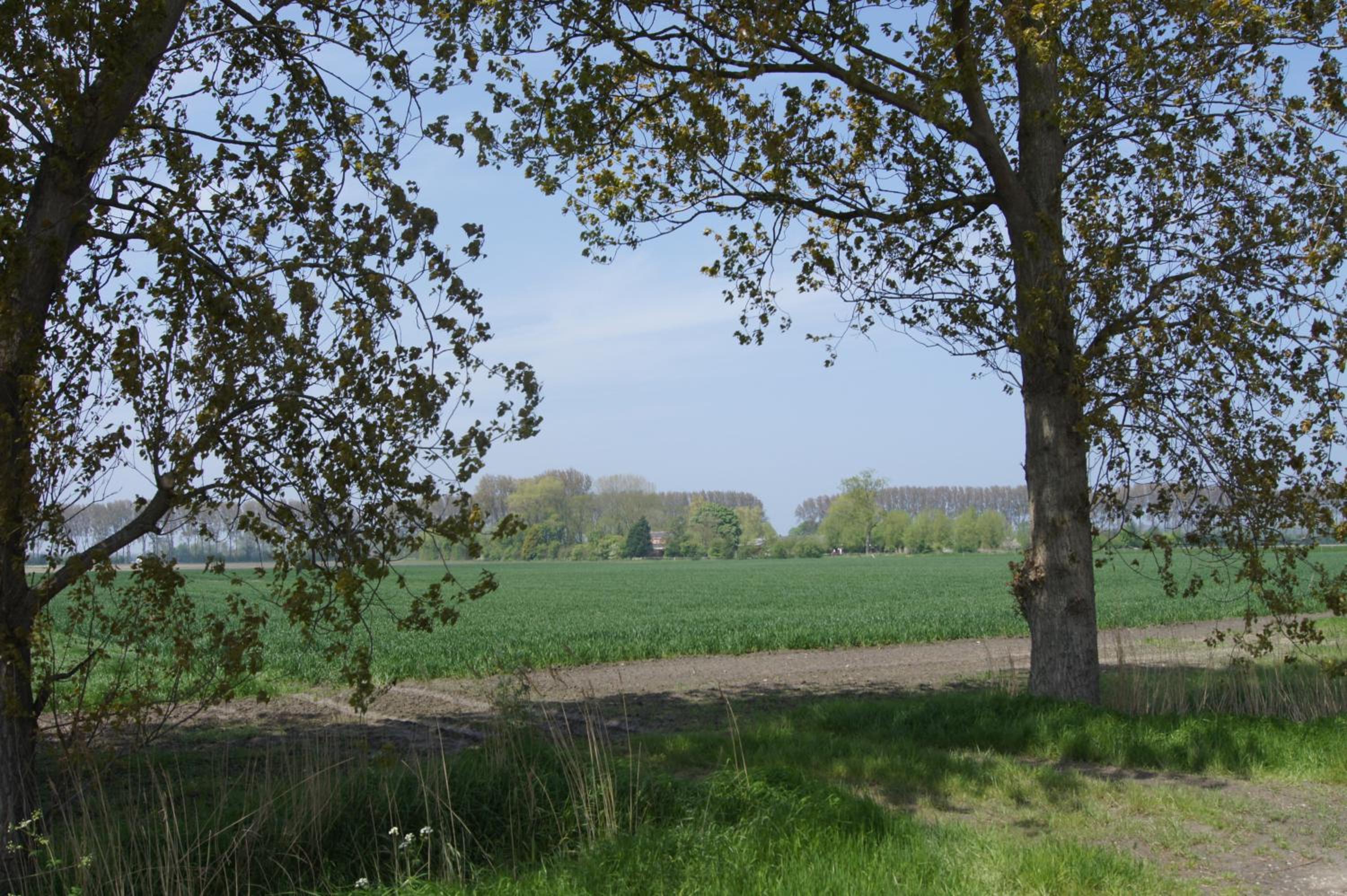 Photo 37