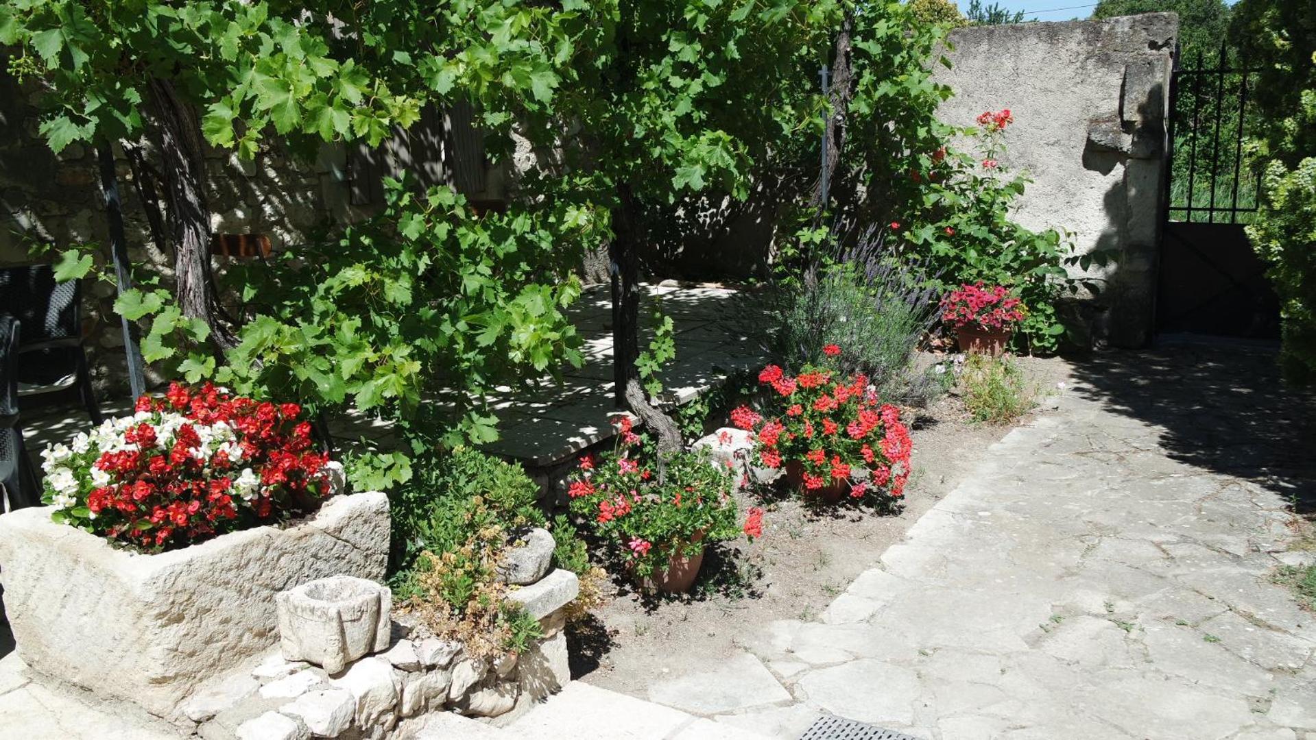Mas Grimaud - Gîte- Studio et chambres d'hôtes familiales view 2