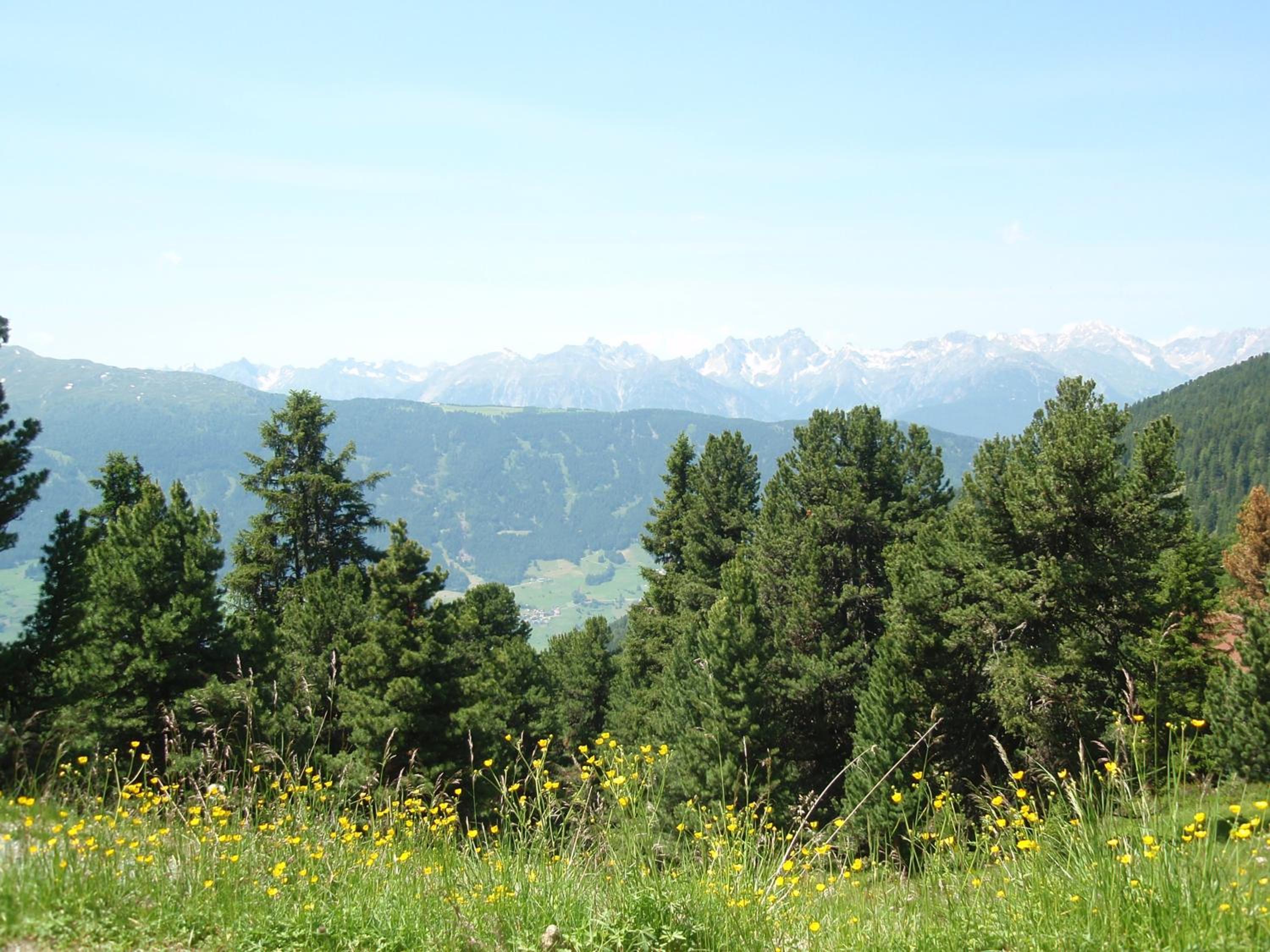 Photo 18