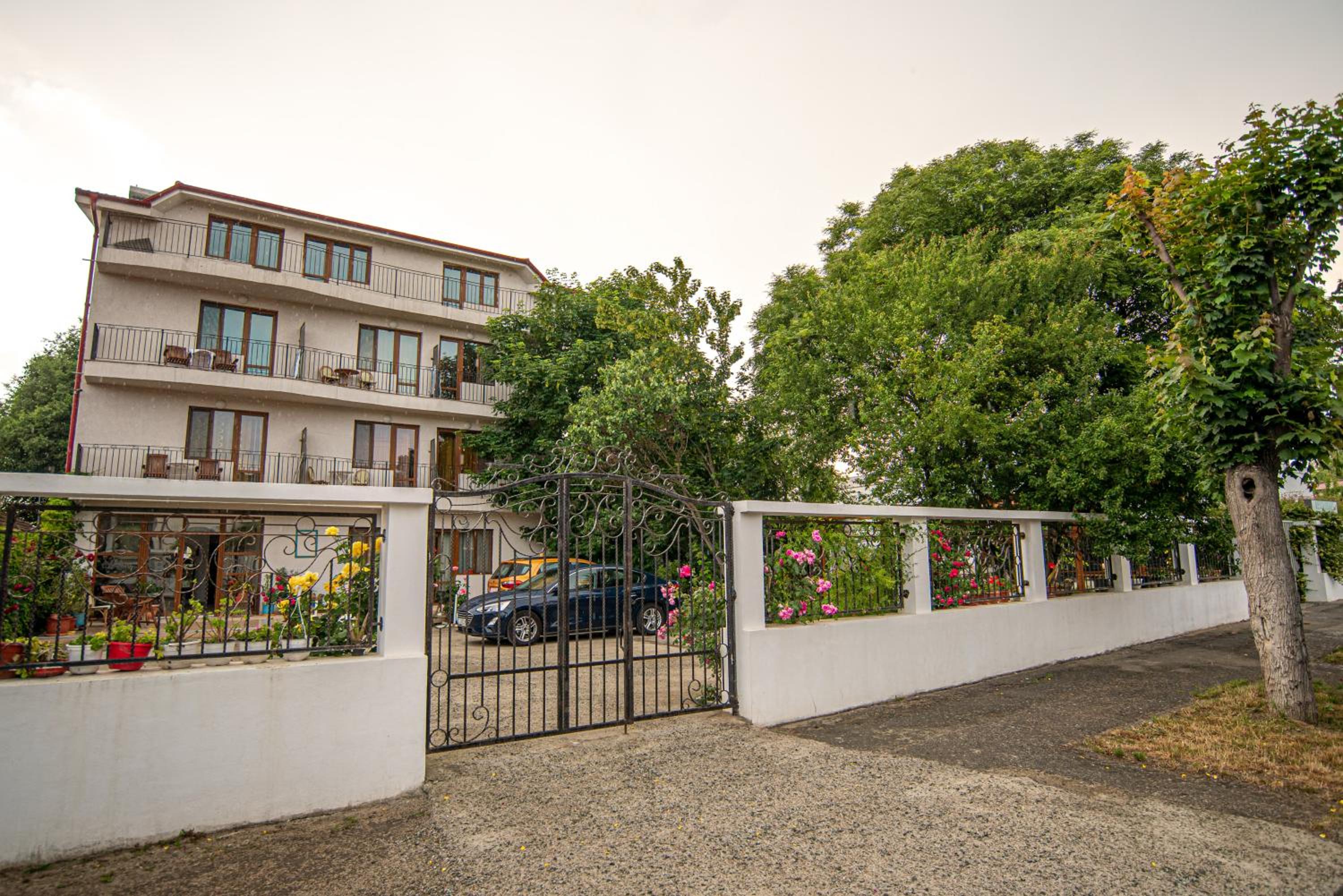Photo 41