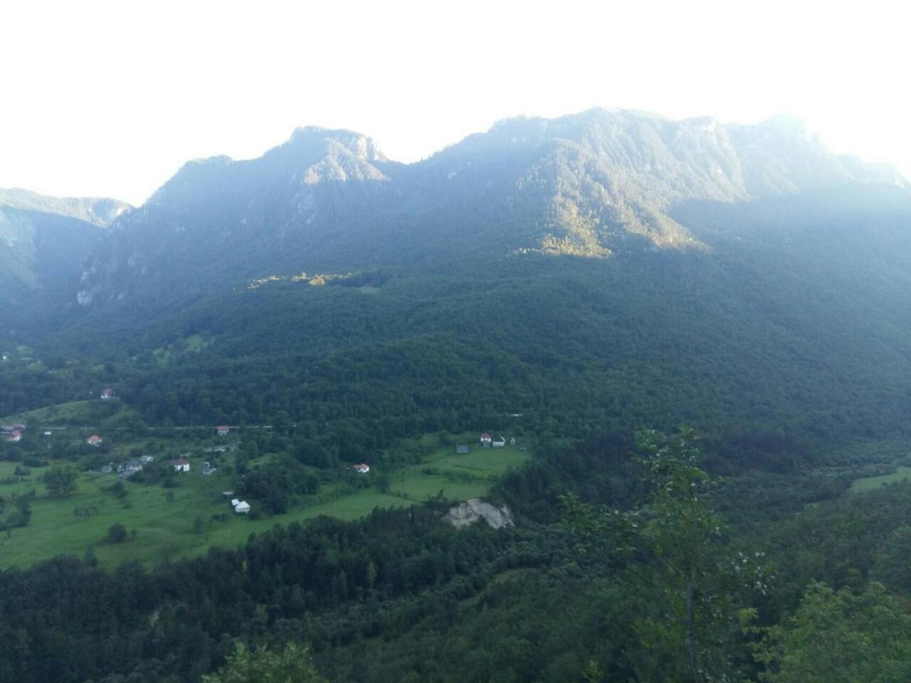 Photo 42