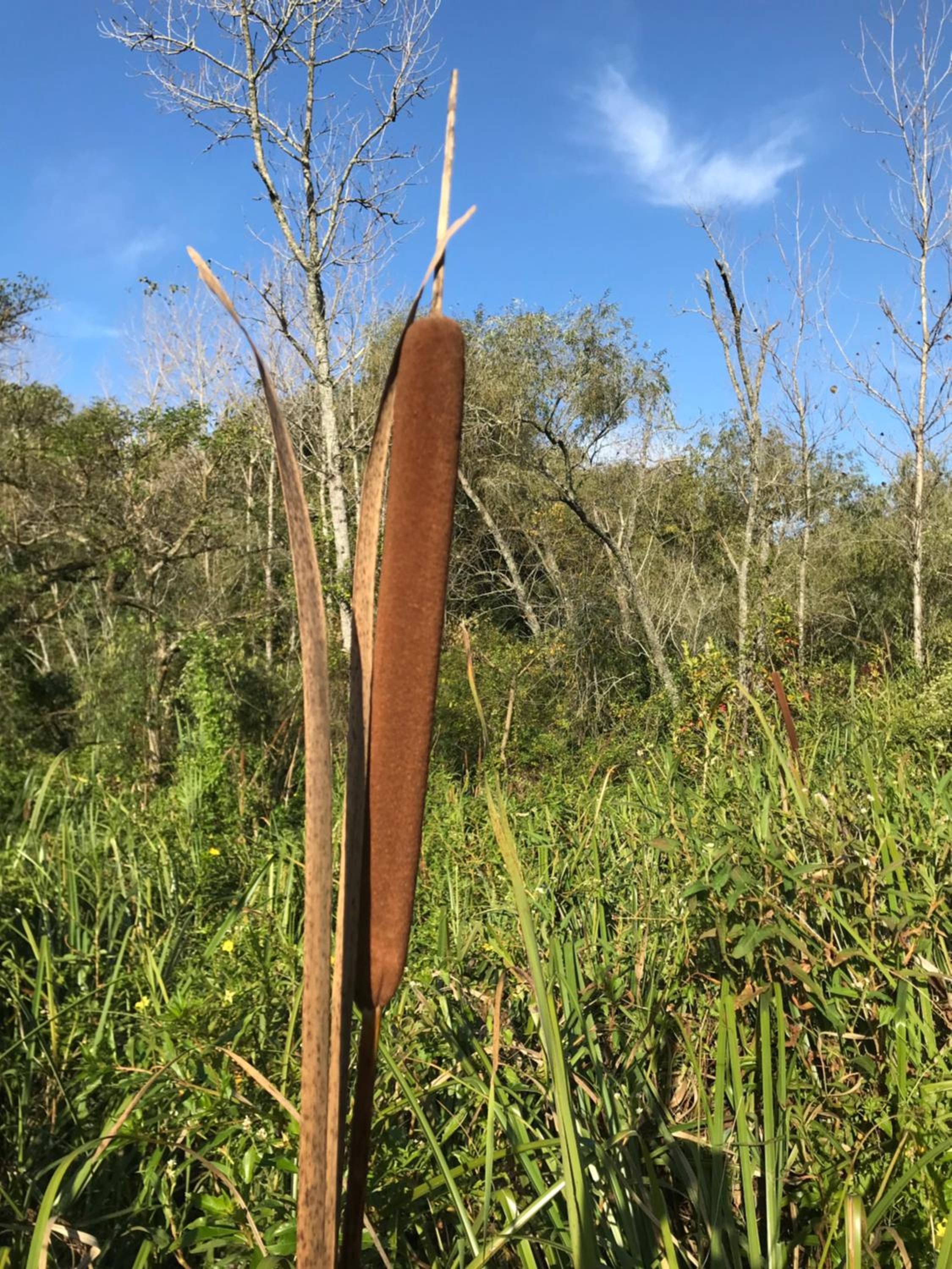 Cabaña en el Delta Arroyo Pajarito a 20 minutos de navegación