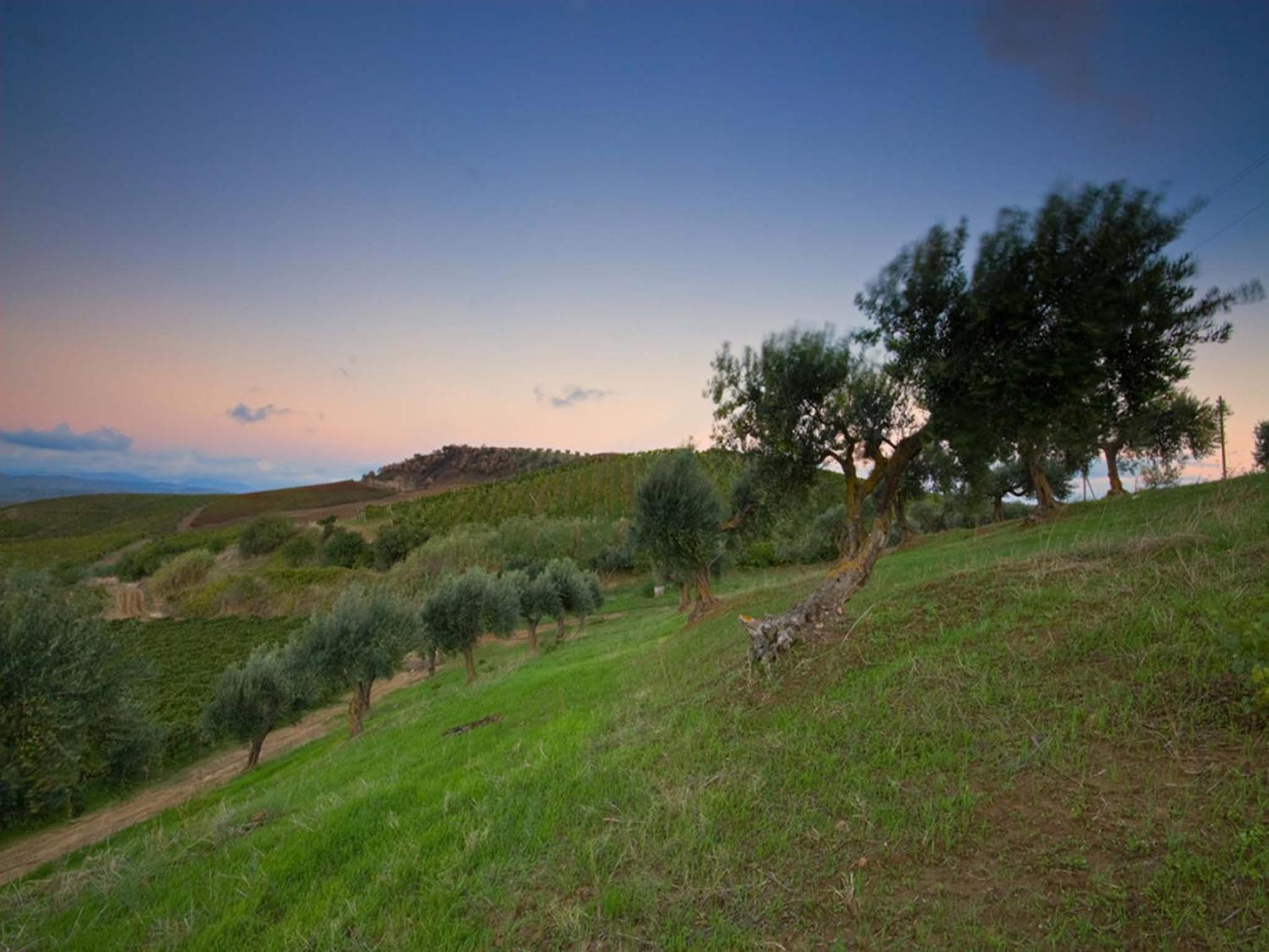 Agriturismo Sirignano Wine Resort