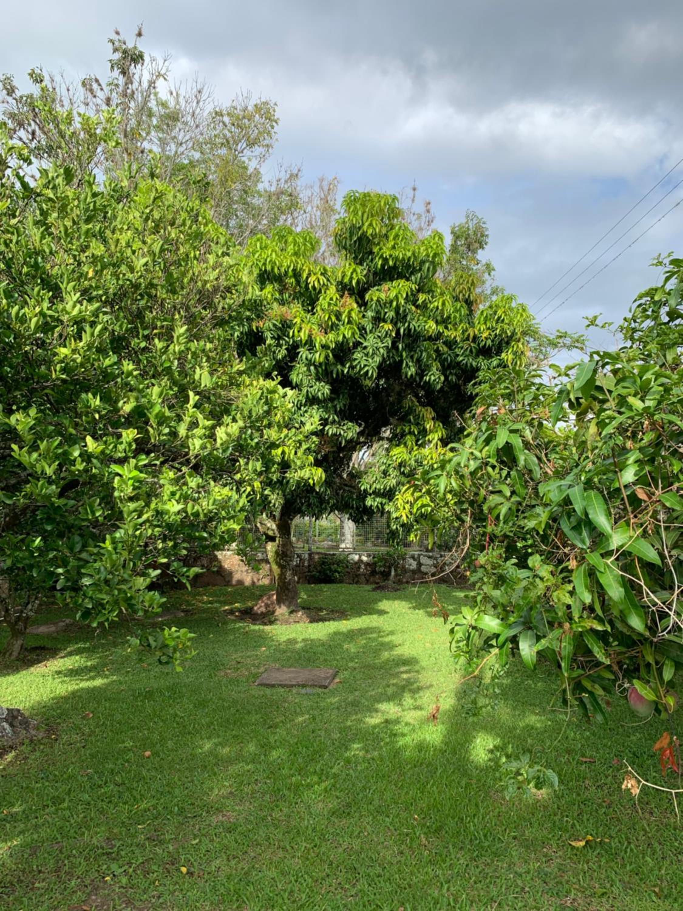 Photo 28