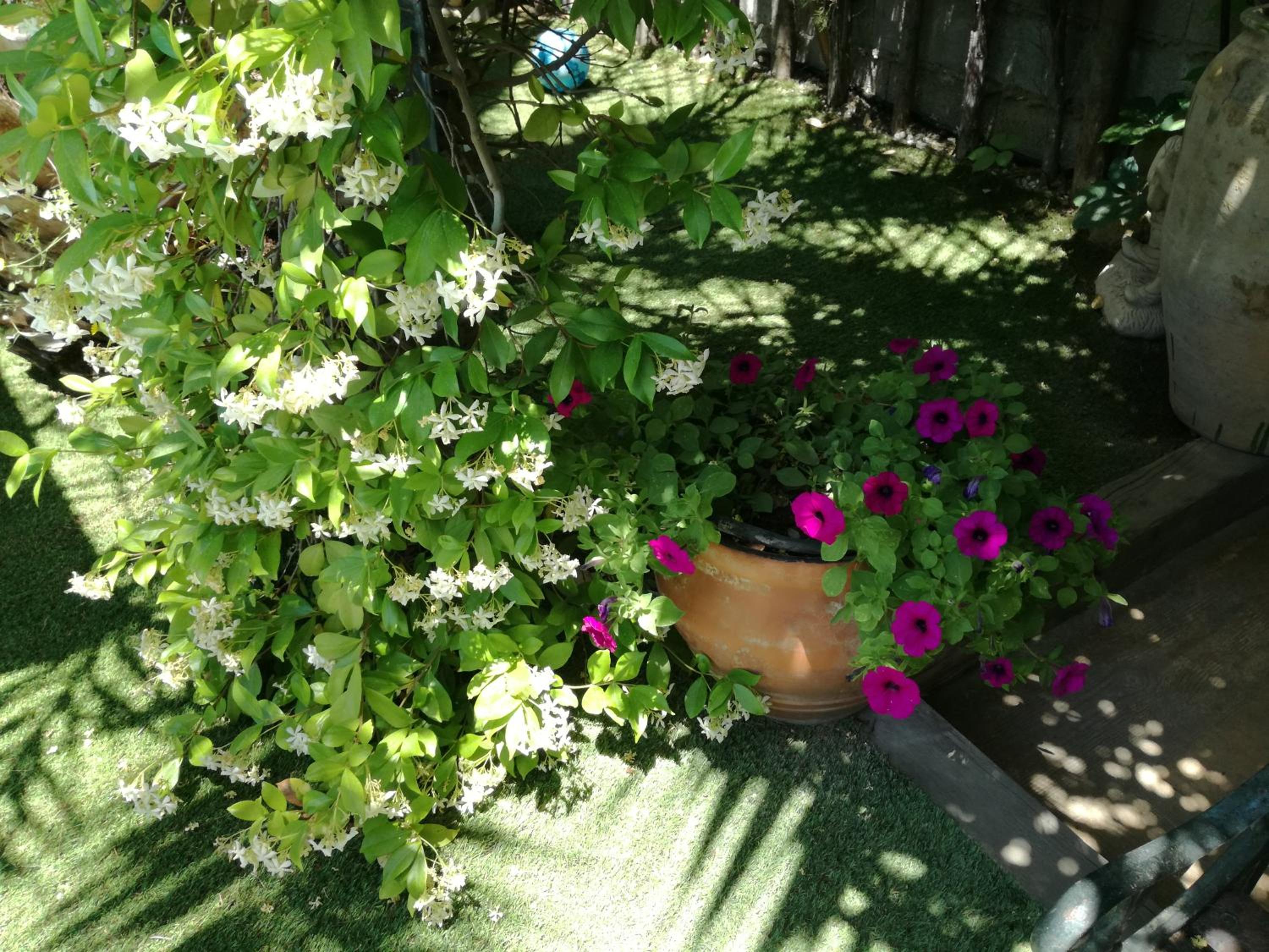 Photo 39