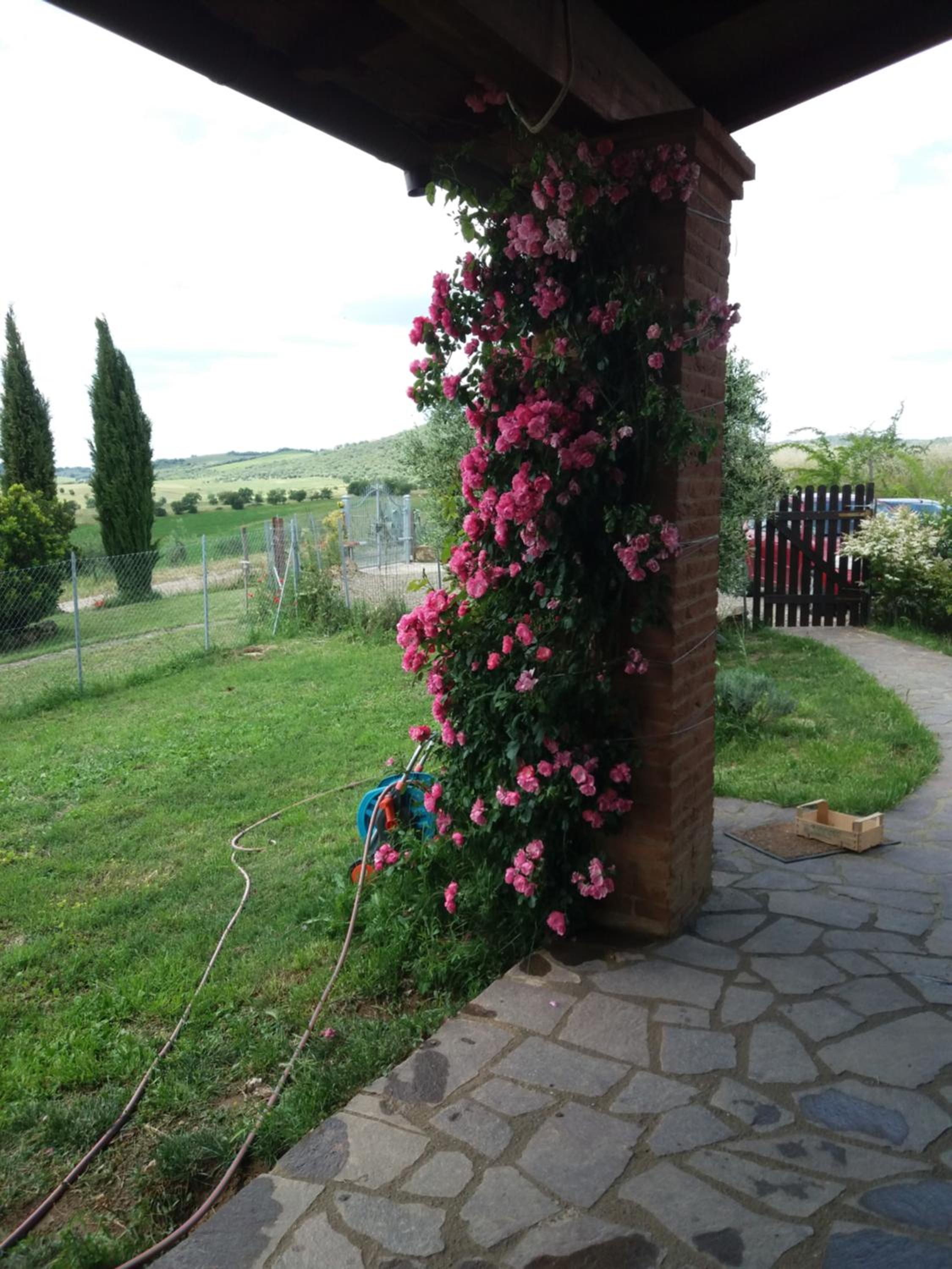 Photo 36