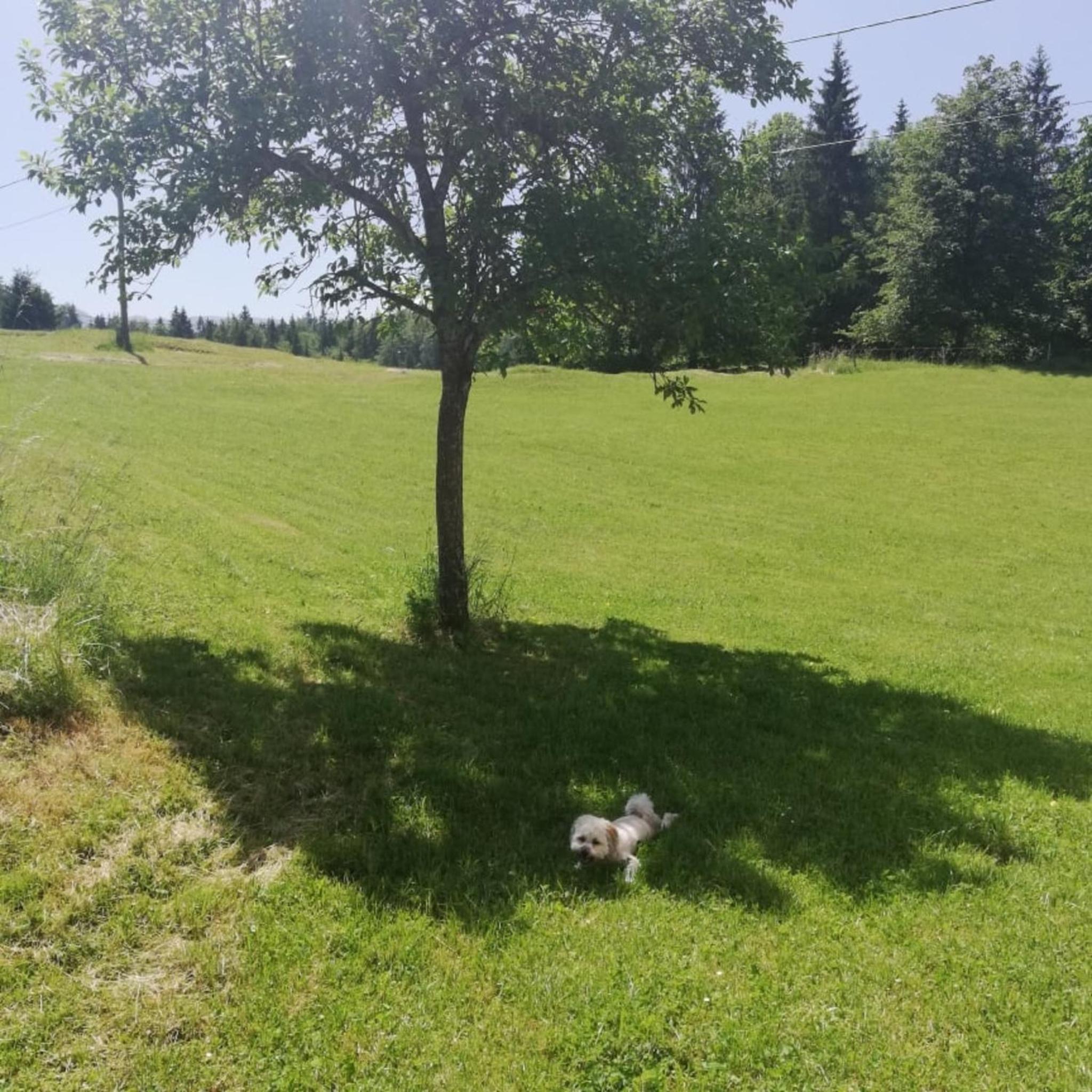 Photo 28