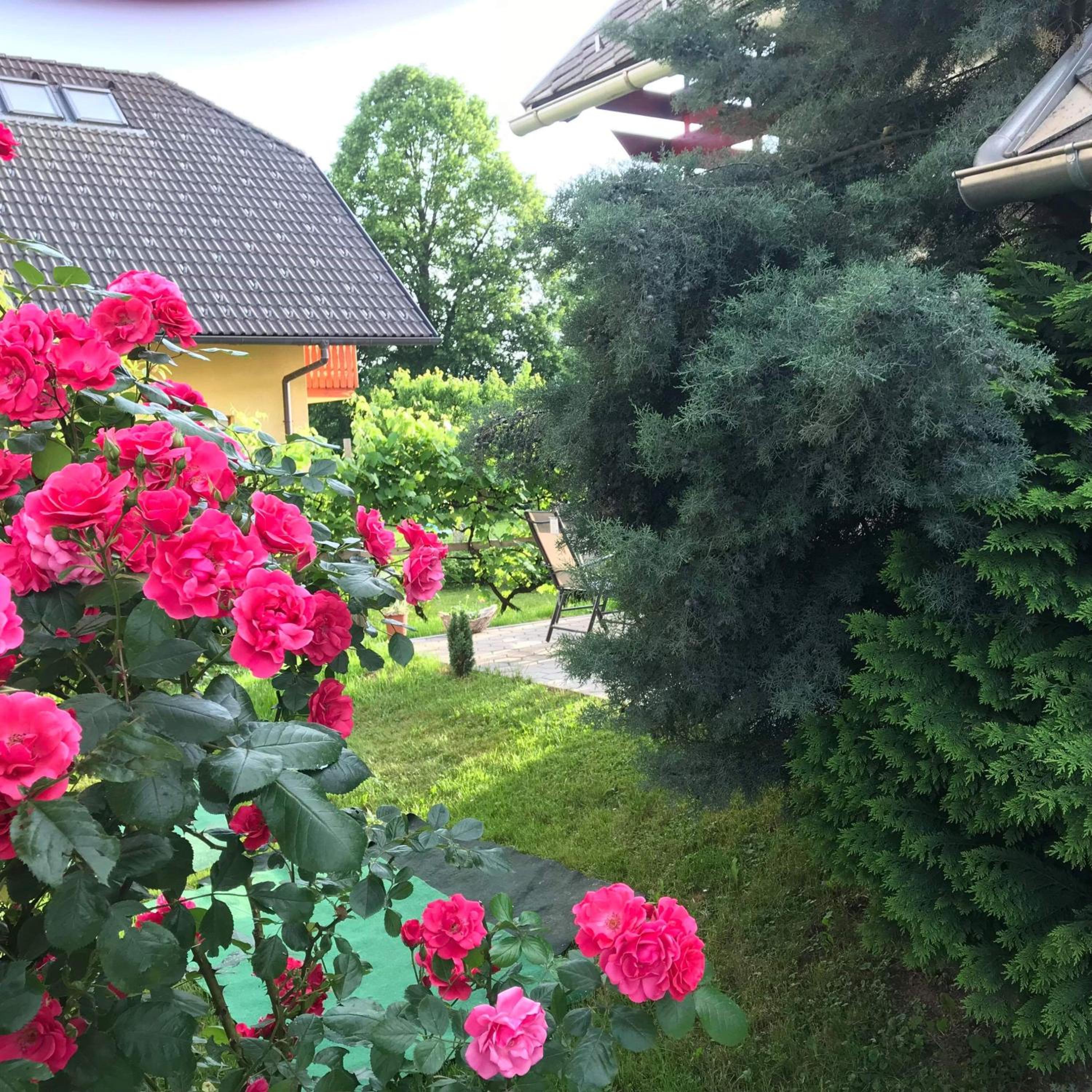 Photo 24