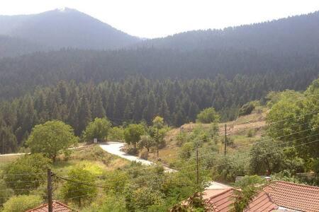 Photo 25