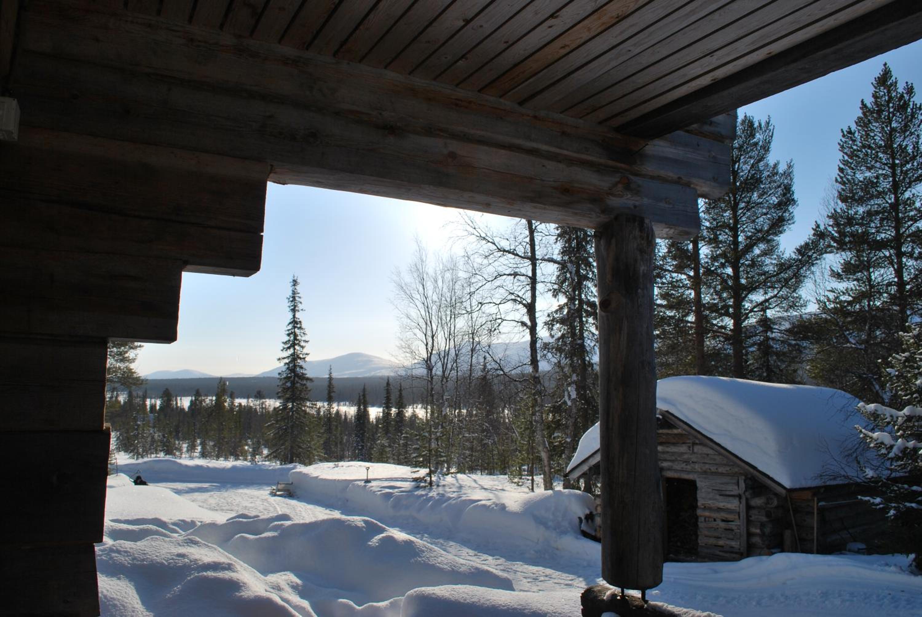 Photo 41