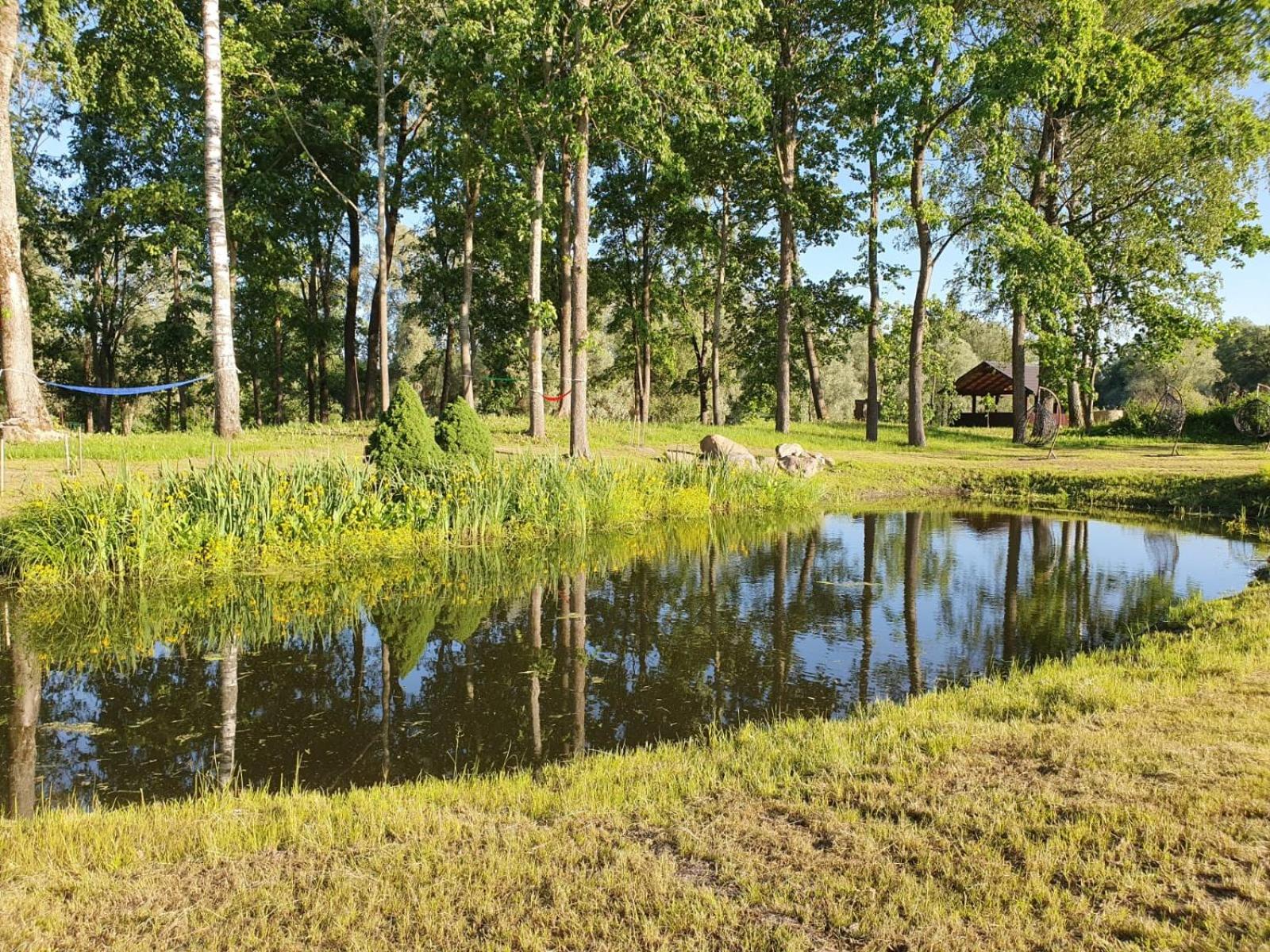 Photo 43