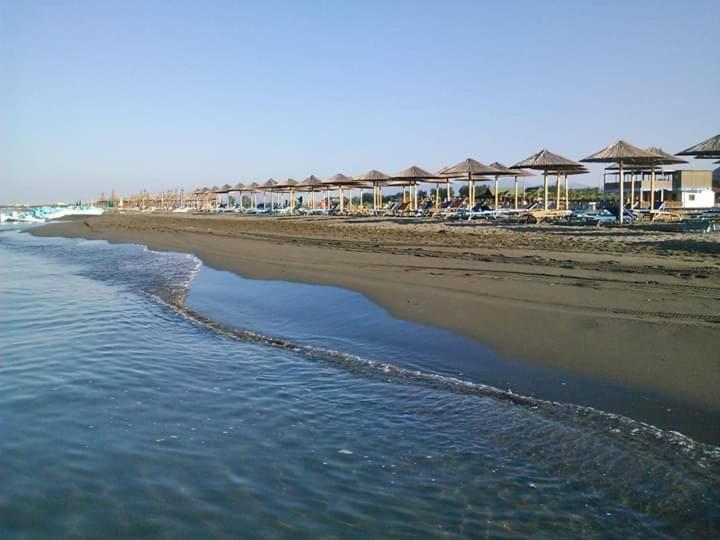Hotel LULI