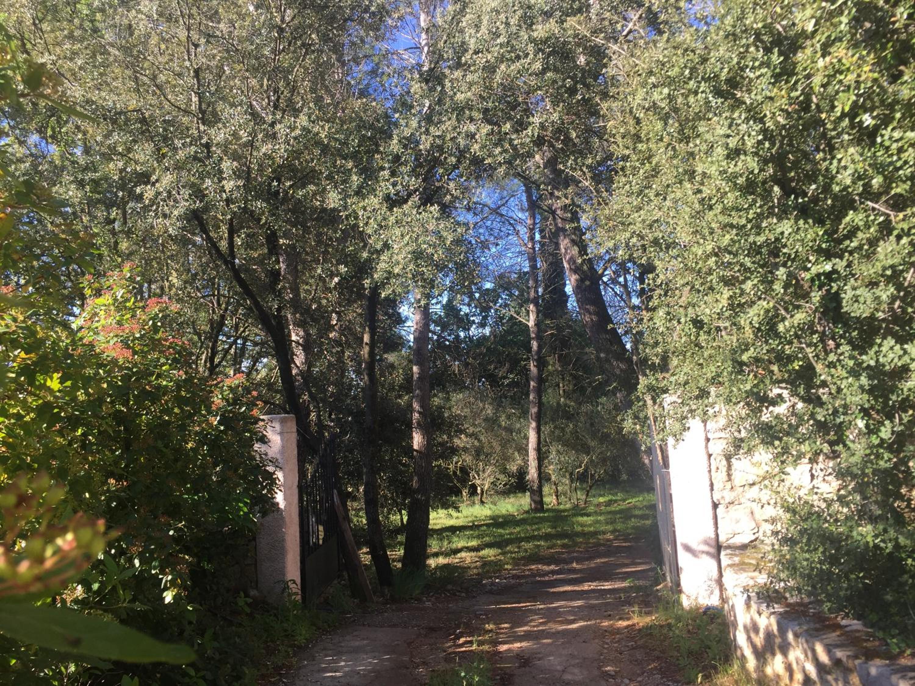 Photo 13