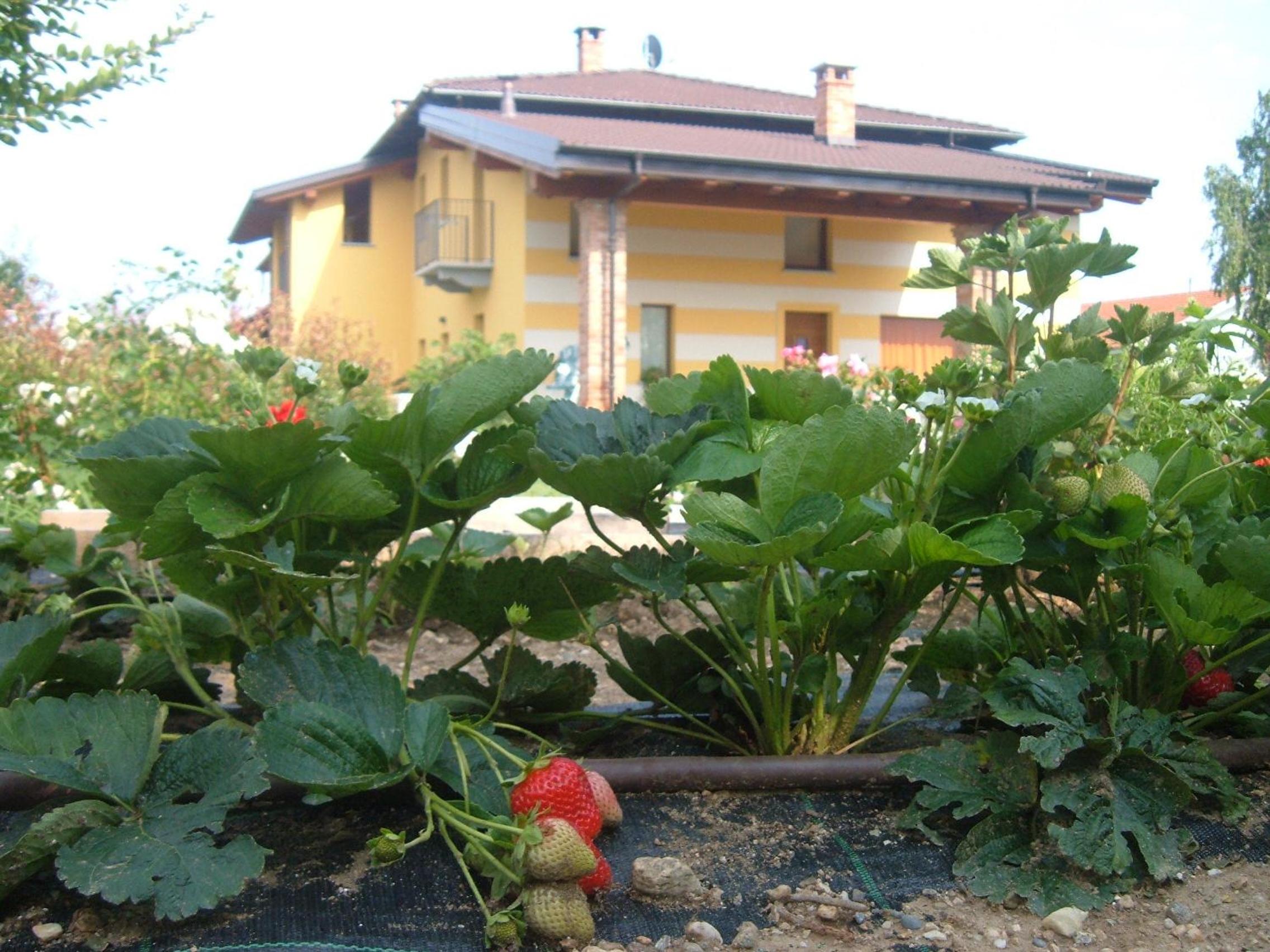Agriturismo Fior Di Campo