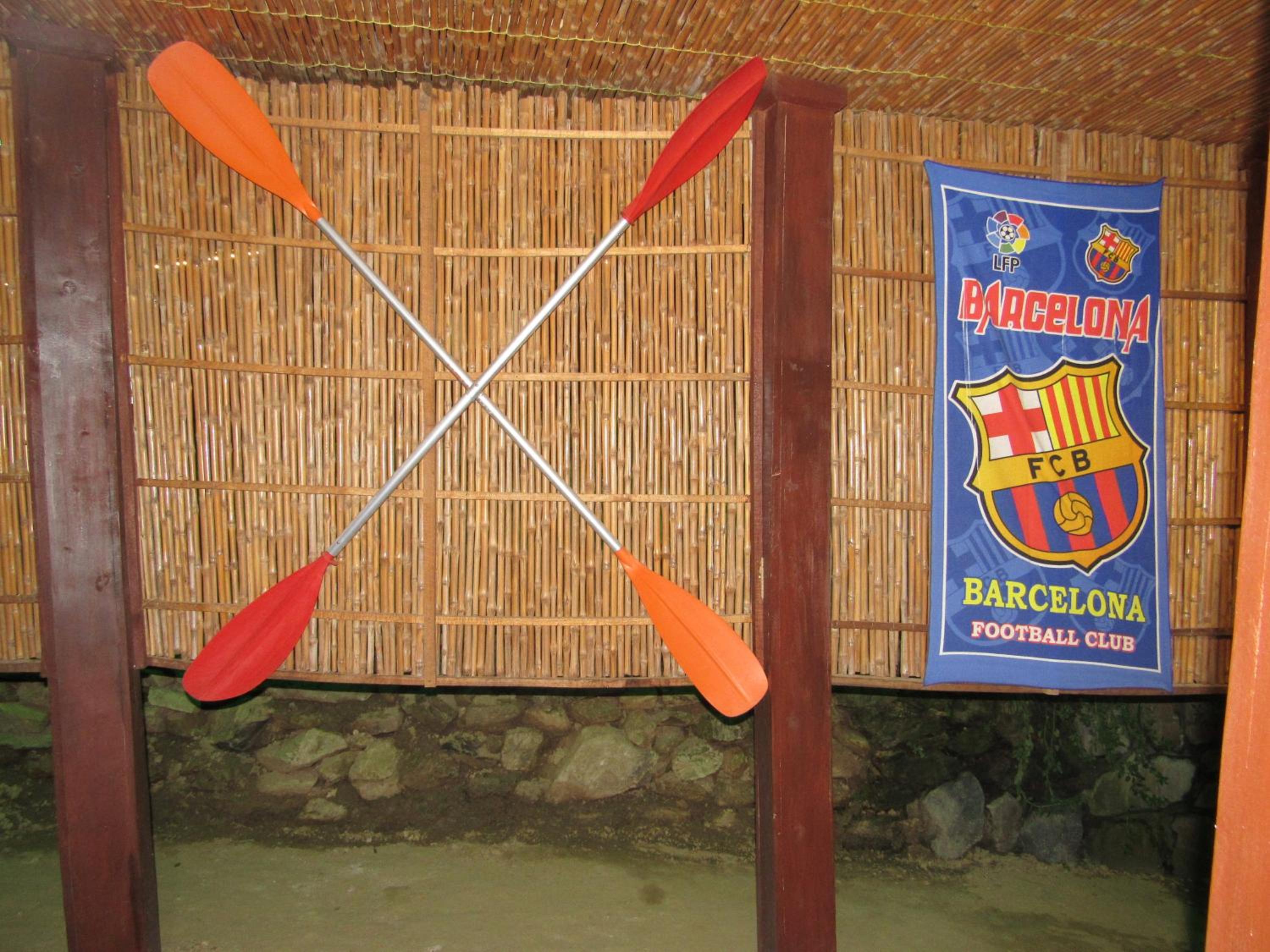 Photo 44