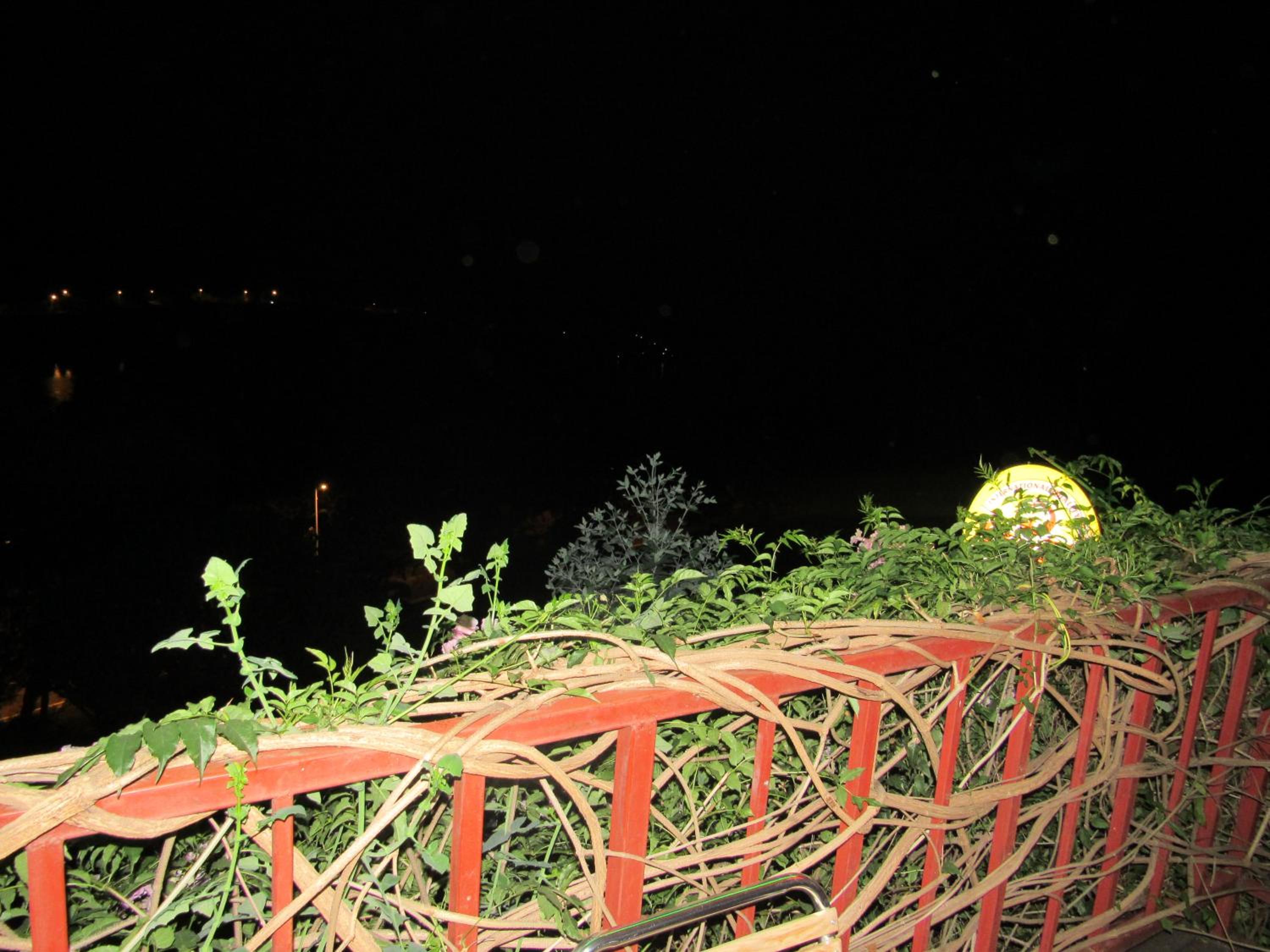 Photo 46