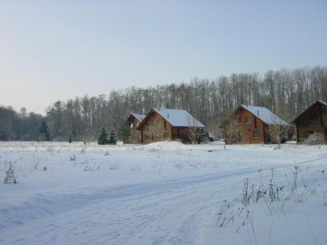 Holzhaus am Silbersee