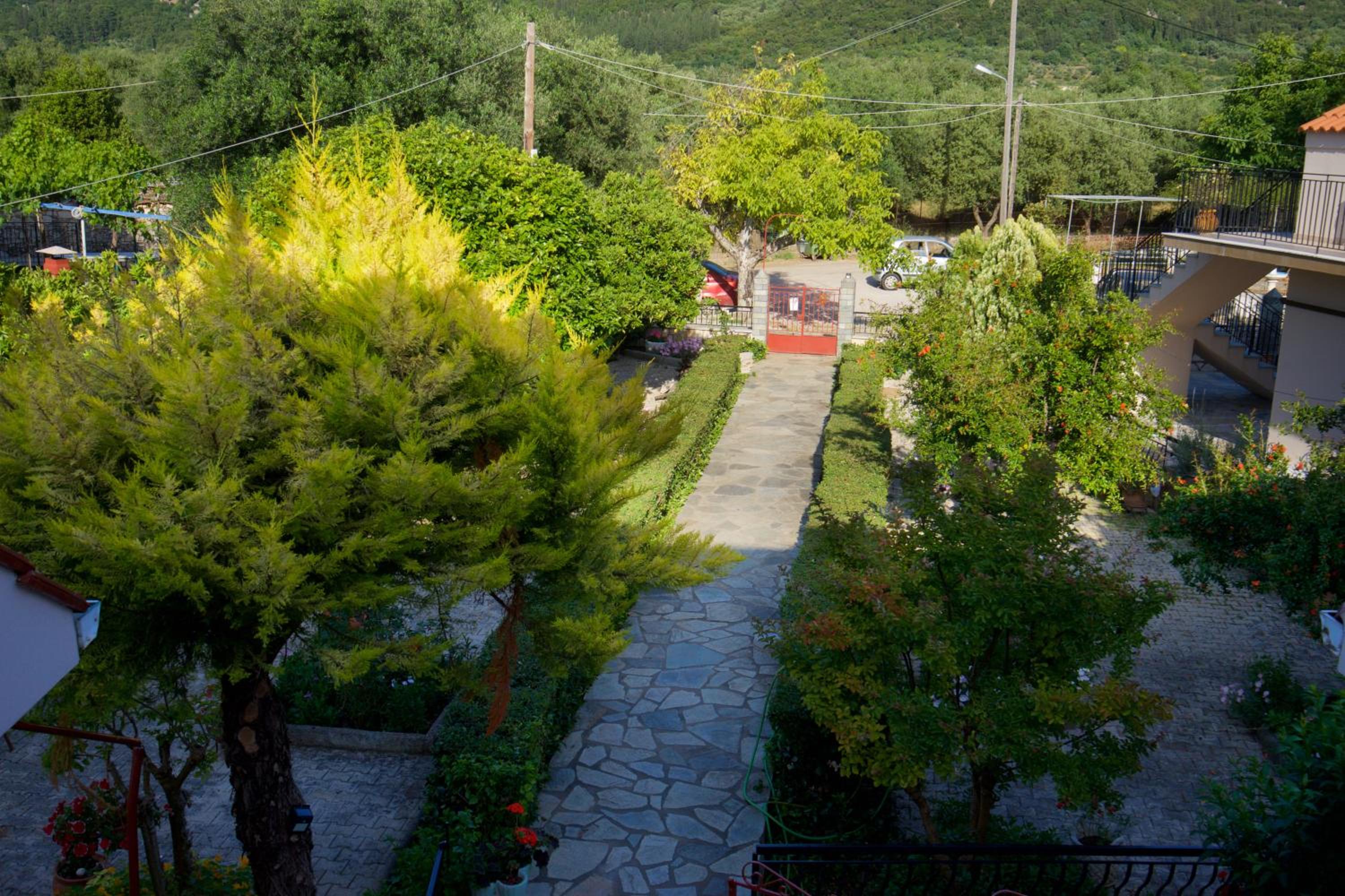 Photo 10