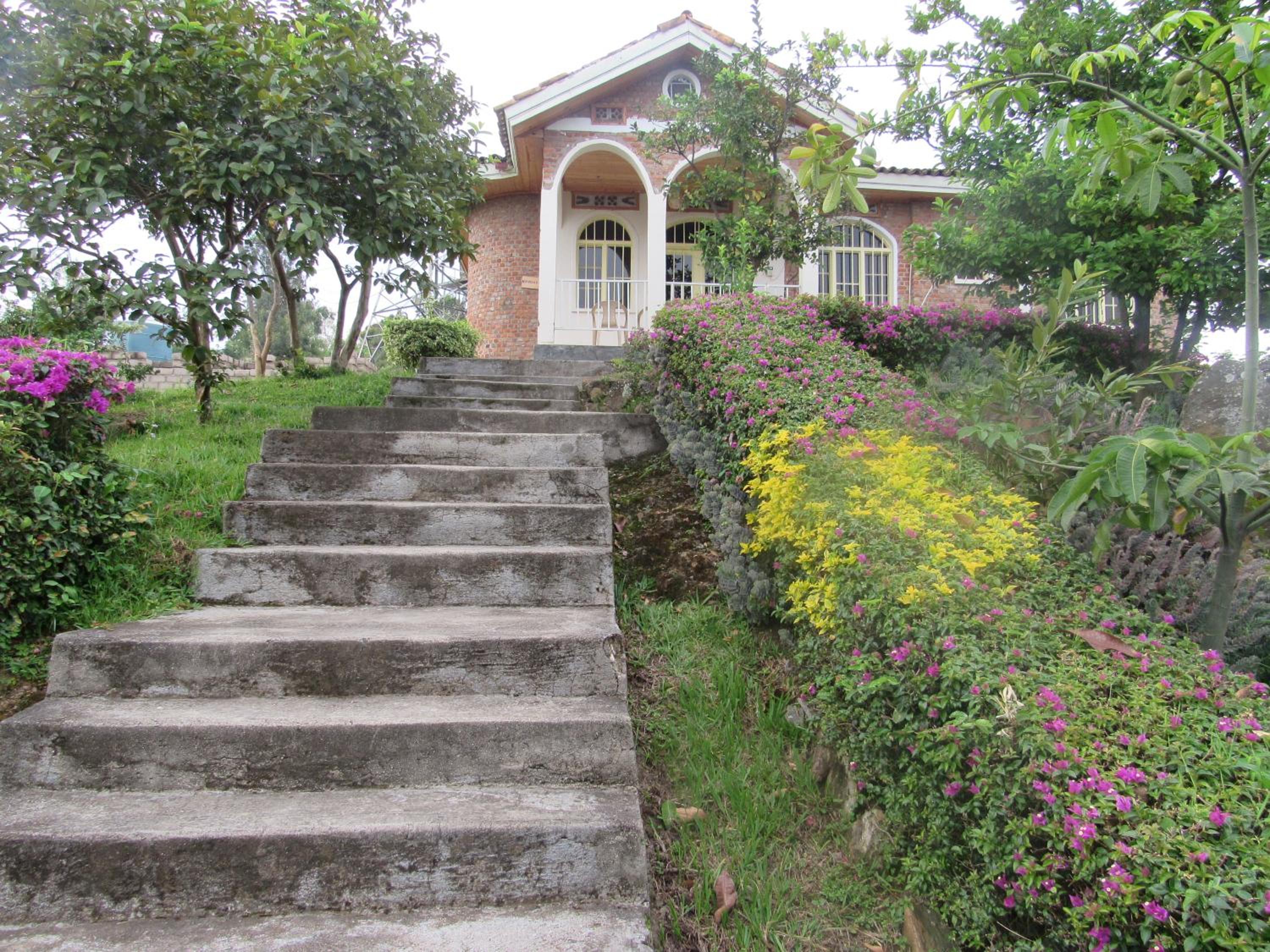 Photo 26