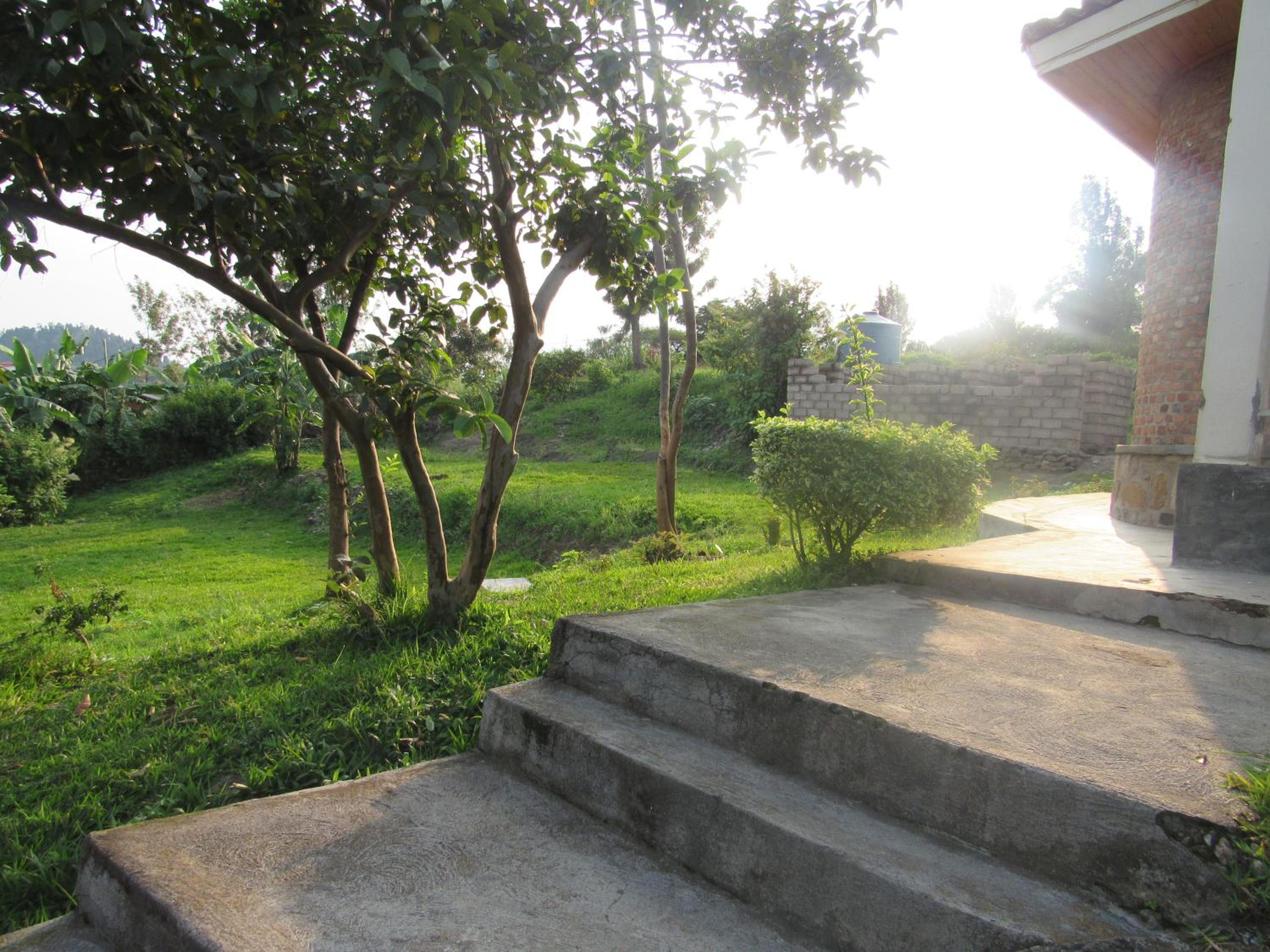 Photo 29