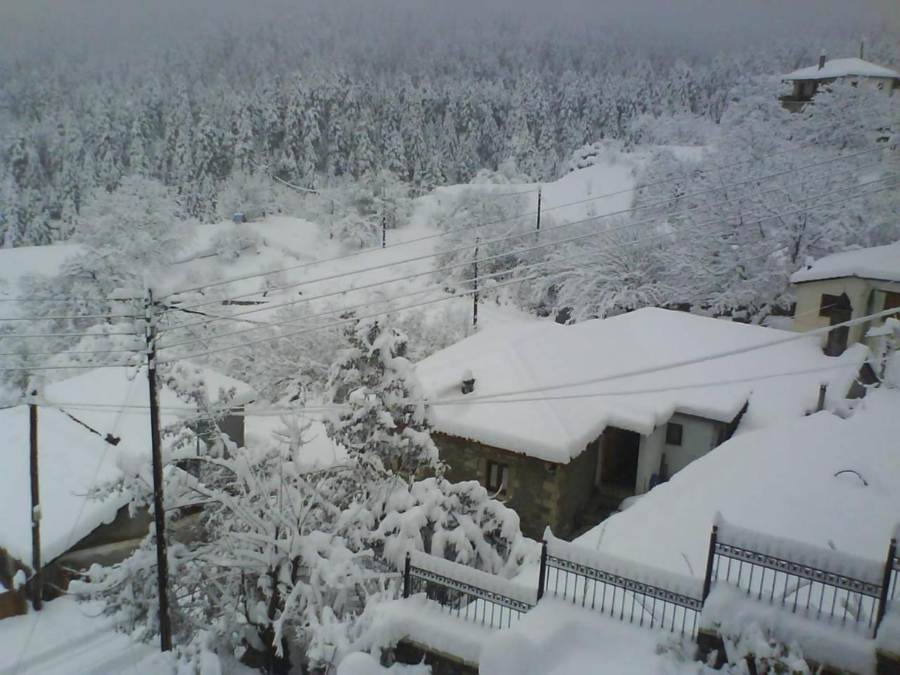 Photo 21