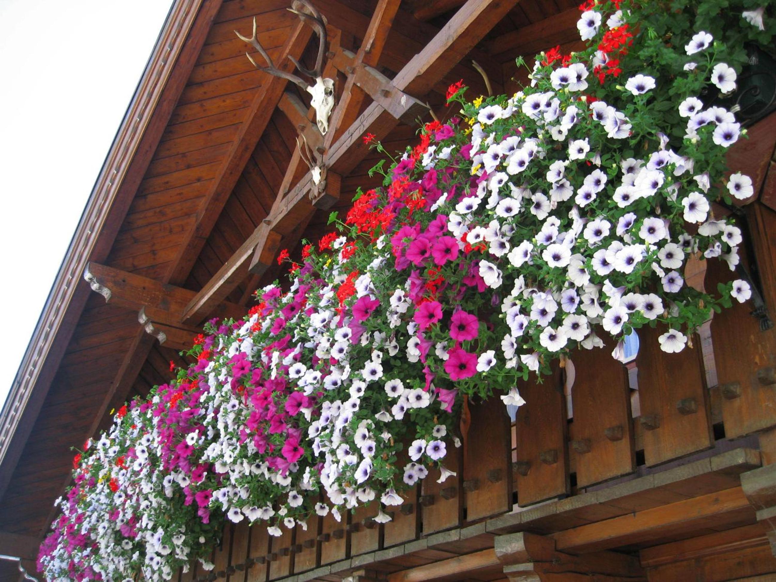 Haus Fernblick view 3