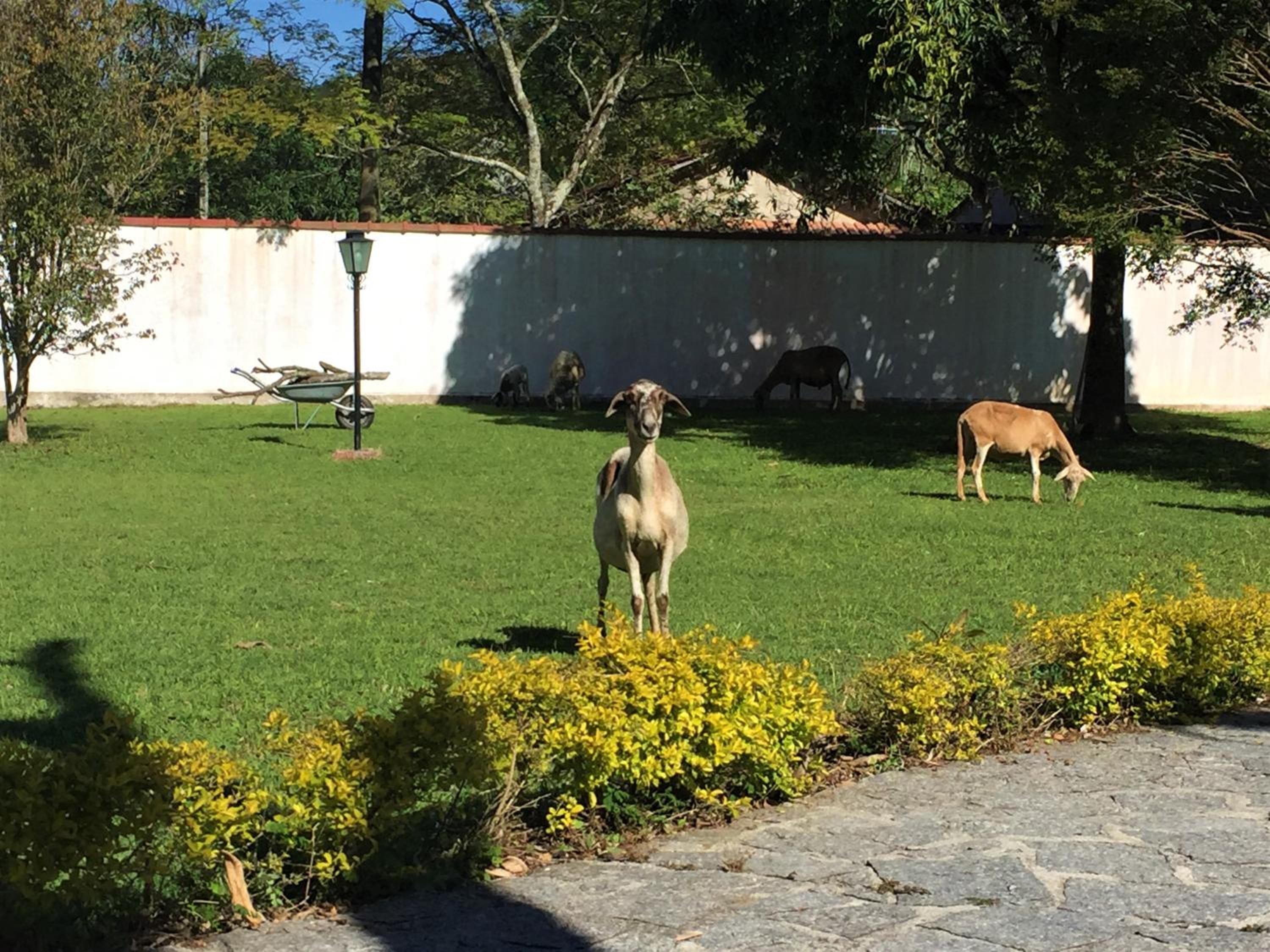 Recanto do Ribeirão